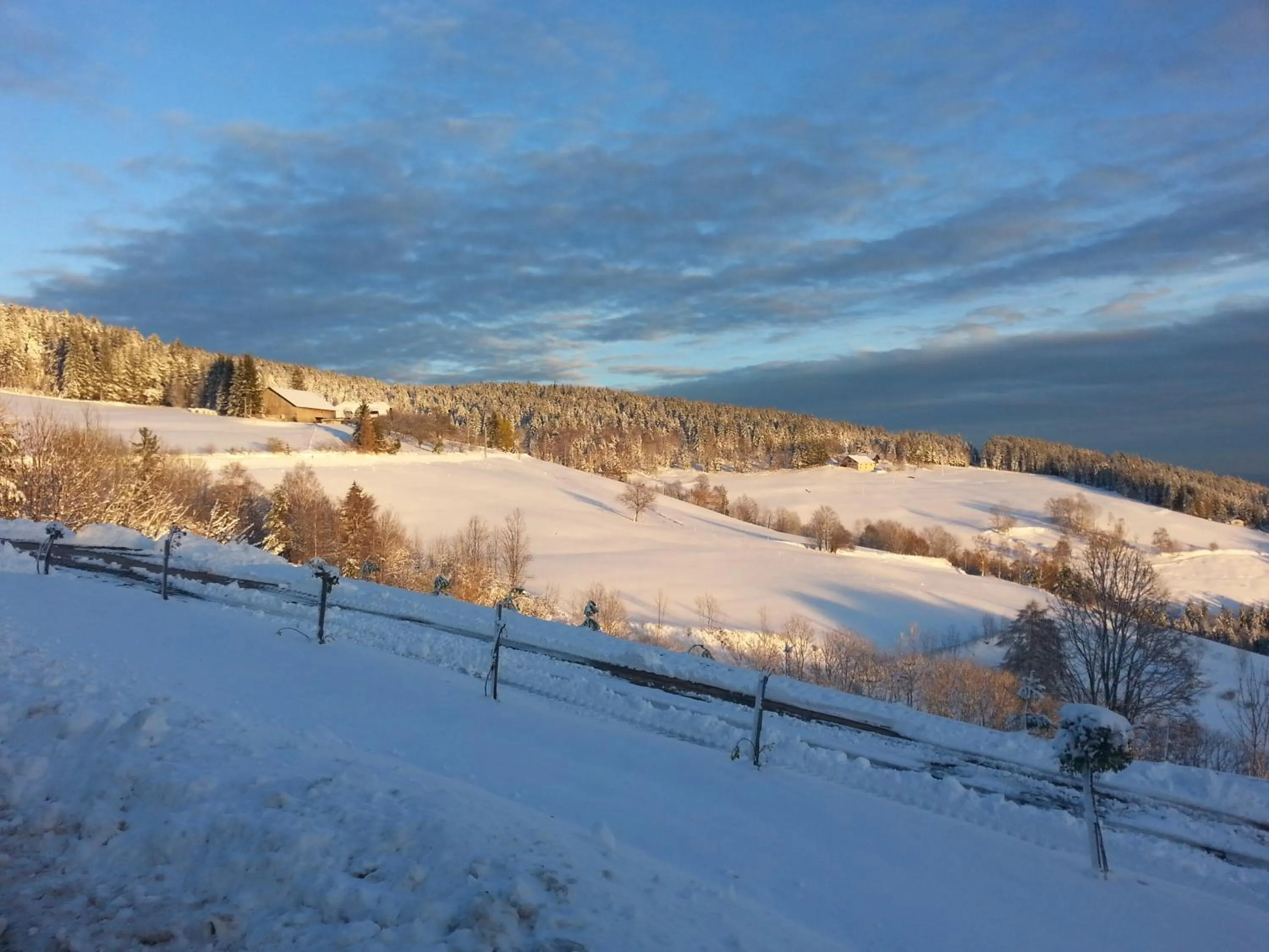 Nearby landmark in Apartment Panorama