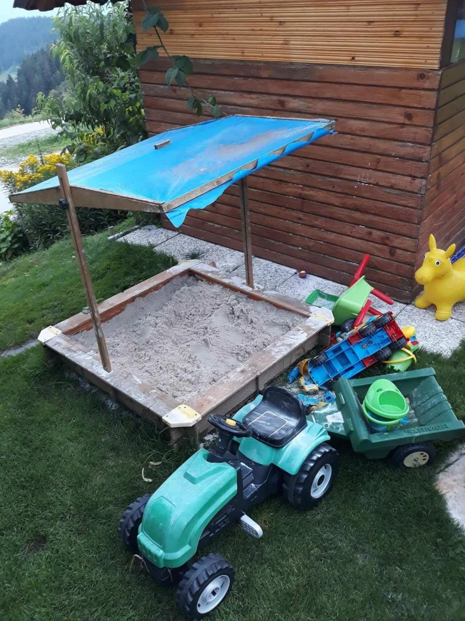 Garden in Apartment Panorama