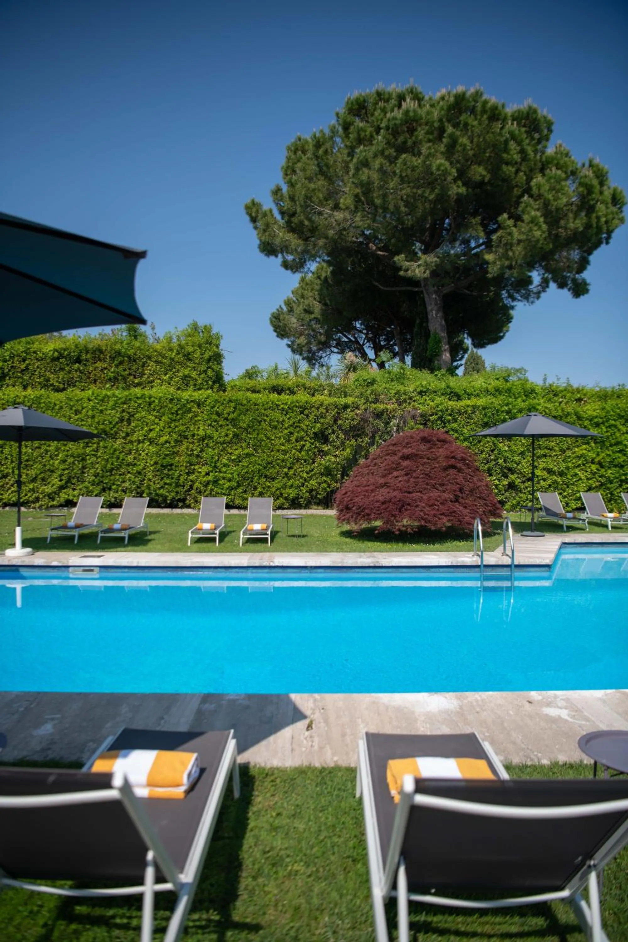 Garden in Holiday Garda Villa Dolcelago Lake Front