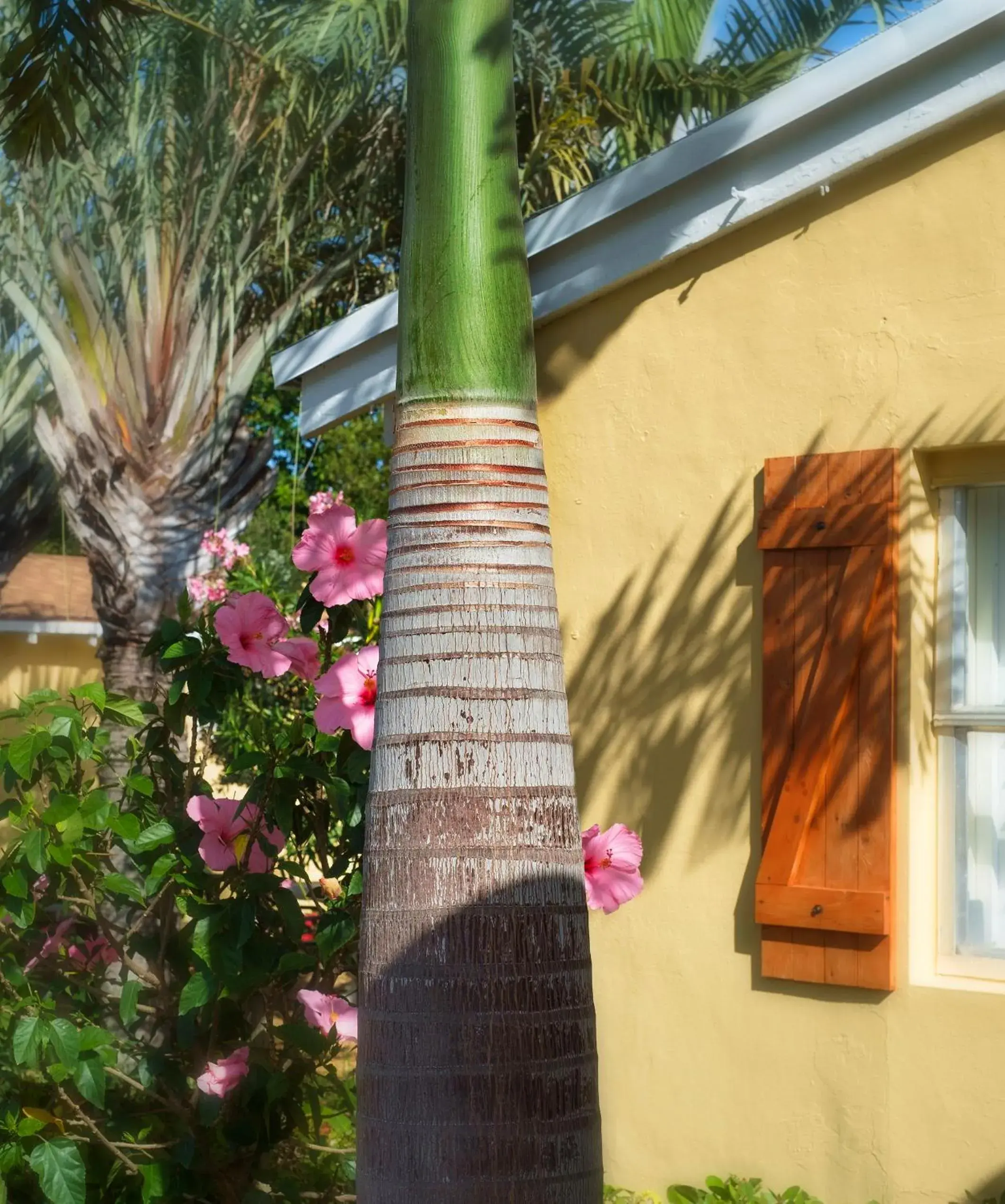 Property building in Atlantic Hideaway Property building in Atlantic Hideaway