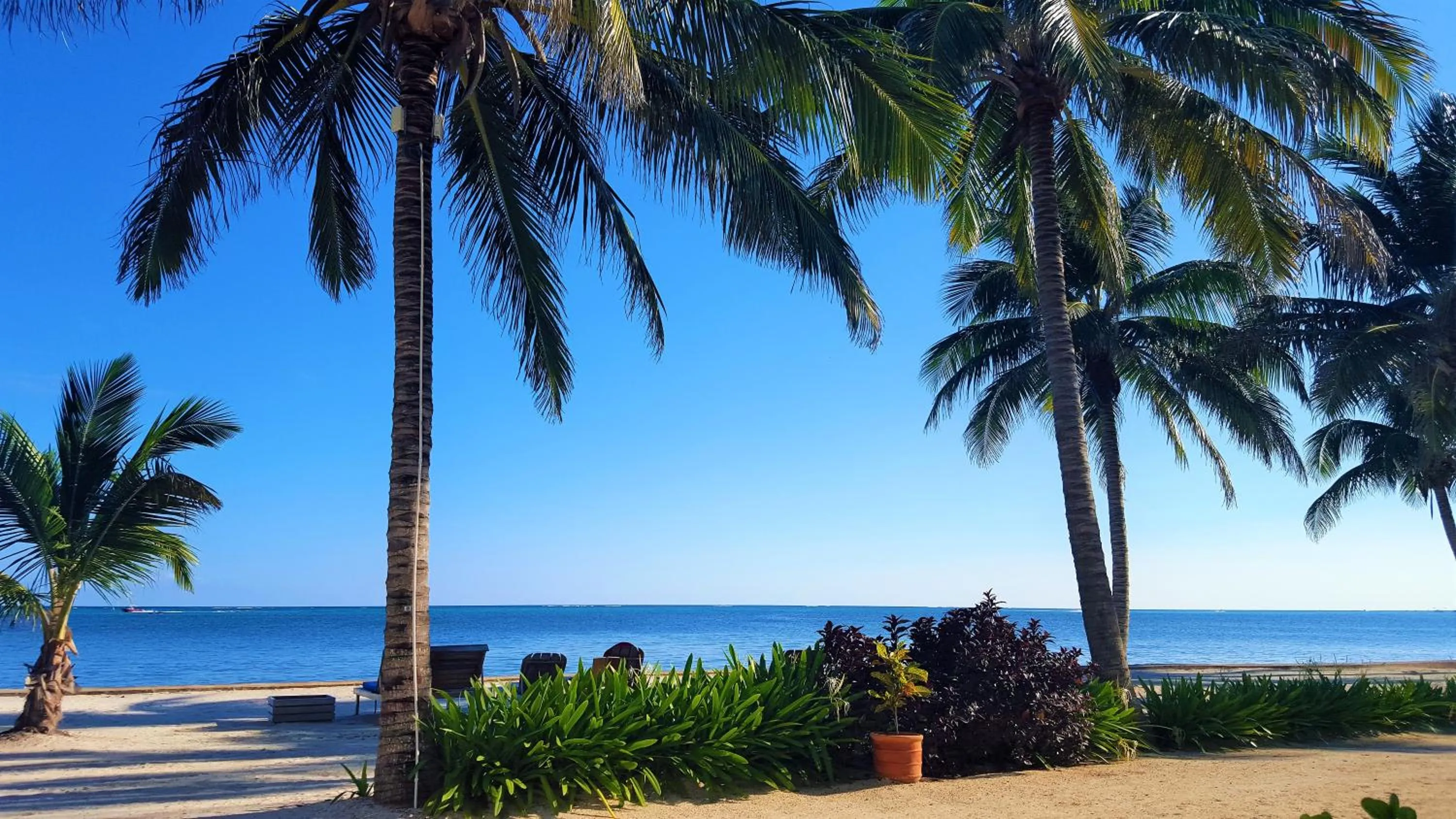 Beach in Tres Cocos Resort
