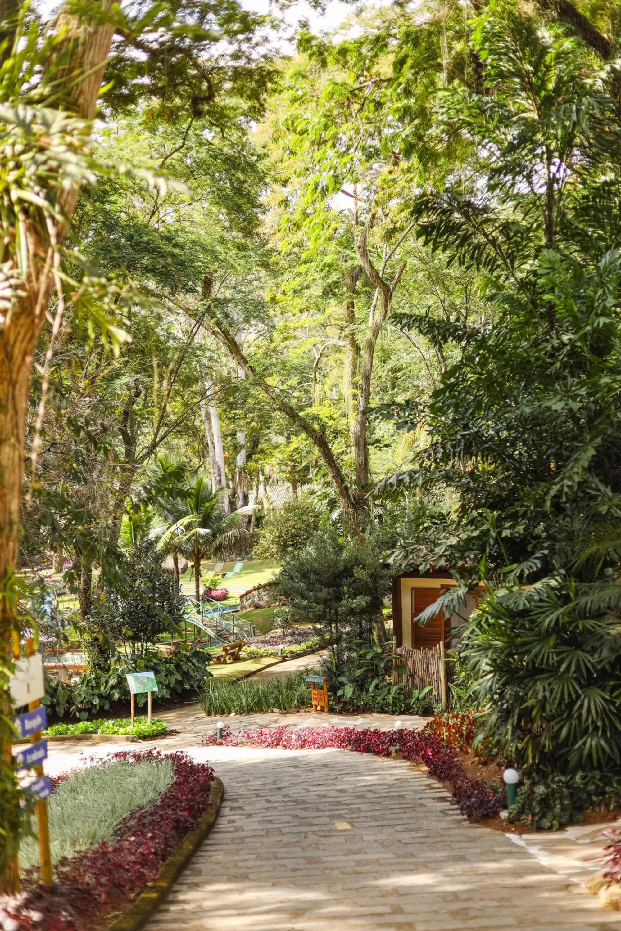 Natural landscape in Spa Posse do Corpo