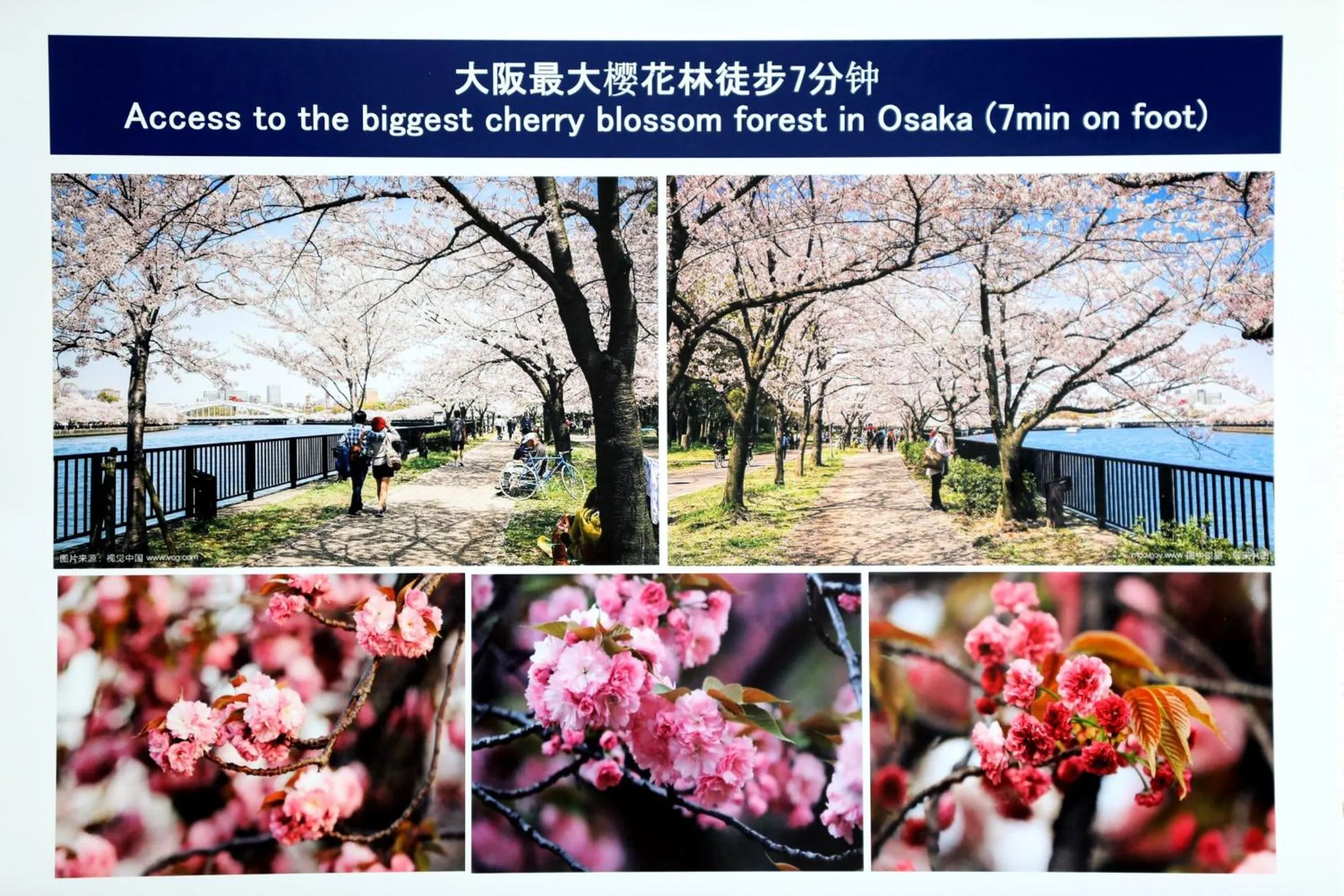 Other in Osaka Umeda Yuan Hostel