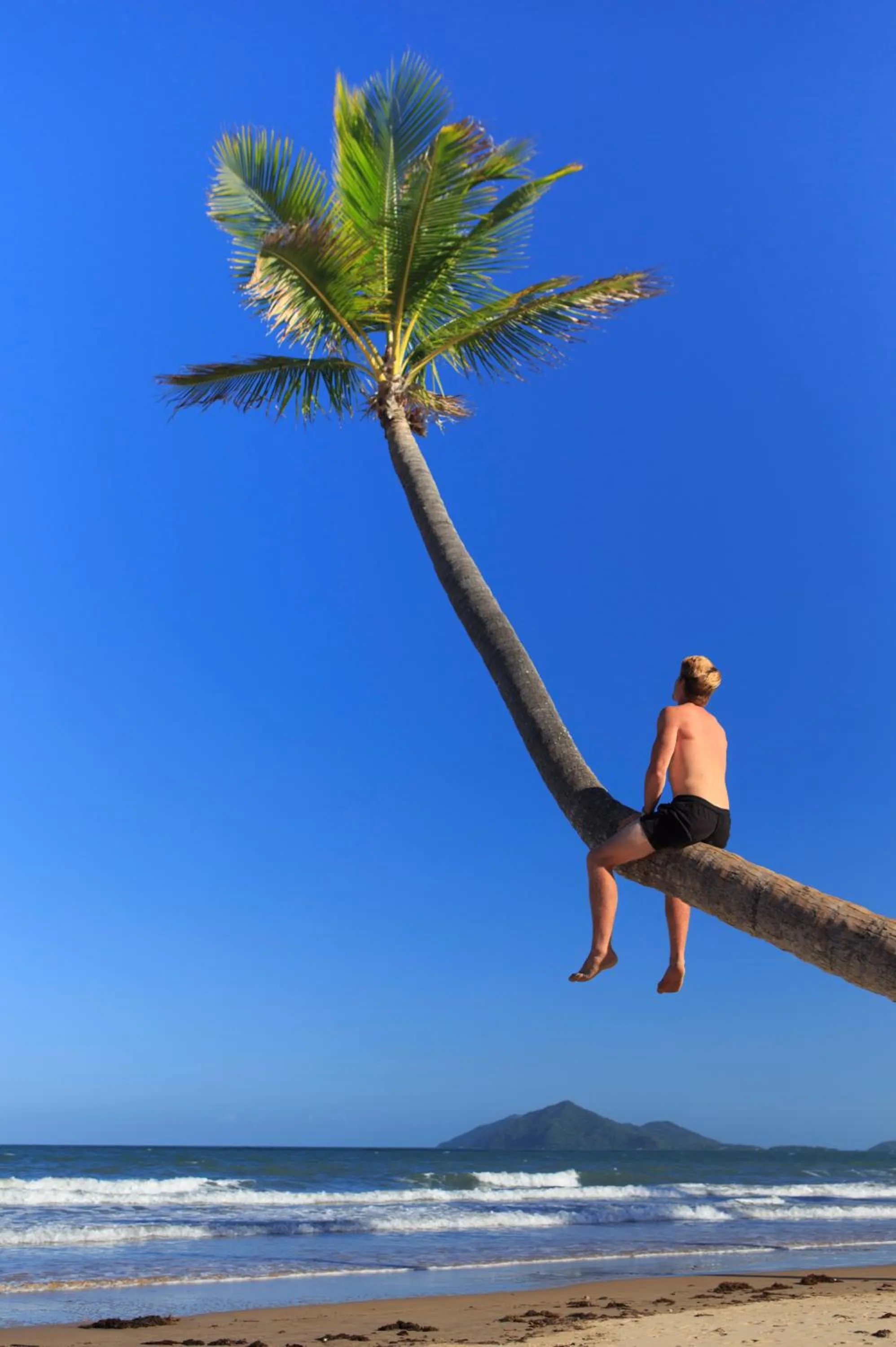 Natural landscape in Scotty's Mission Beach