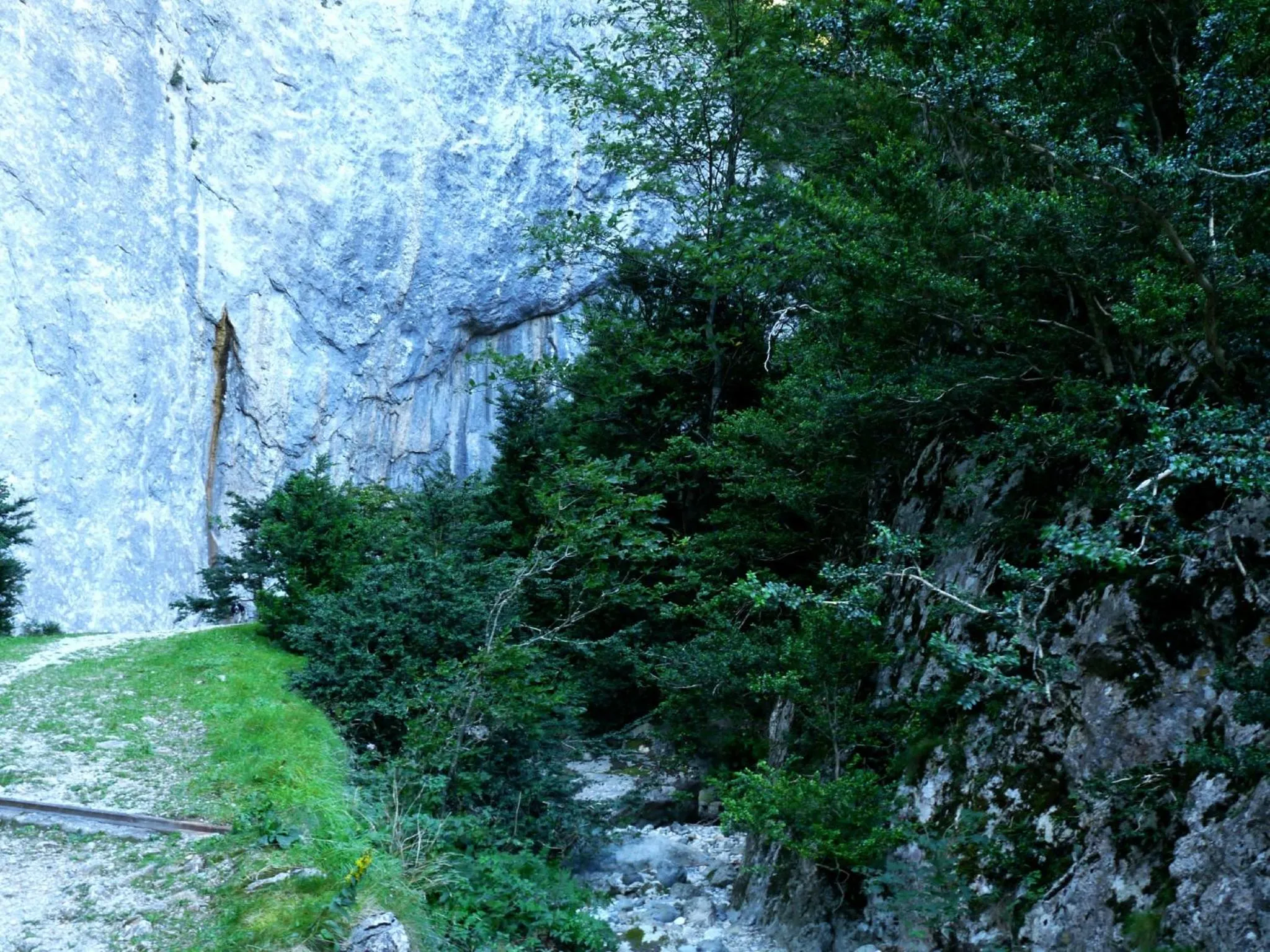 Off site in Palais Cathare