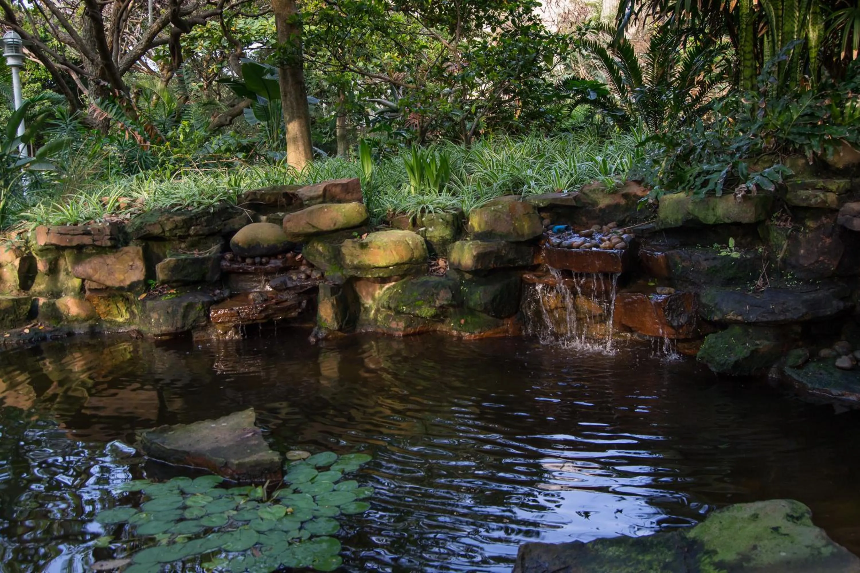 Natural landscape in 702 Oyster Rock - by Stay in Umhlanga