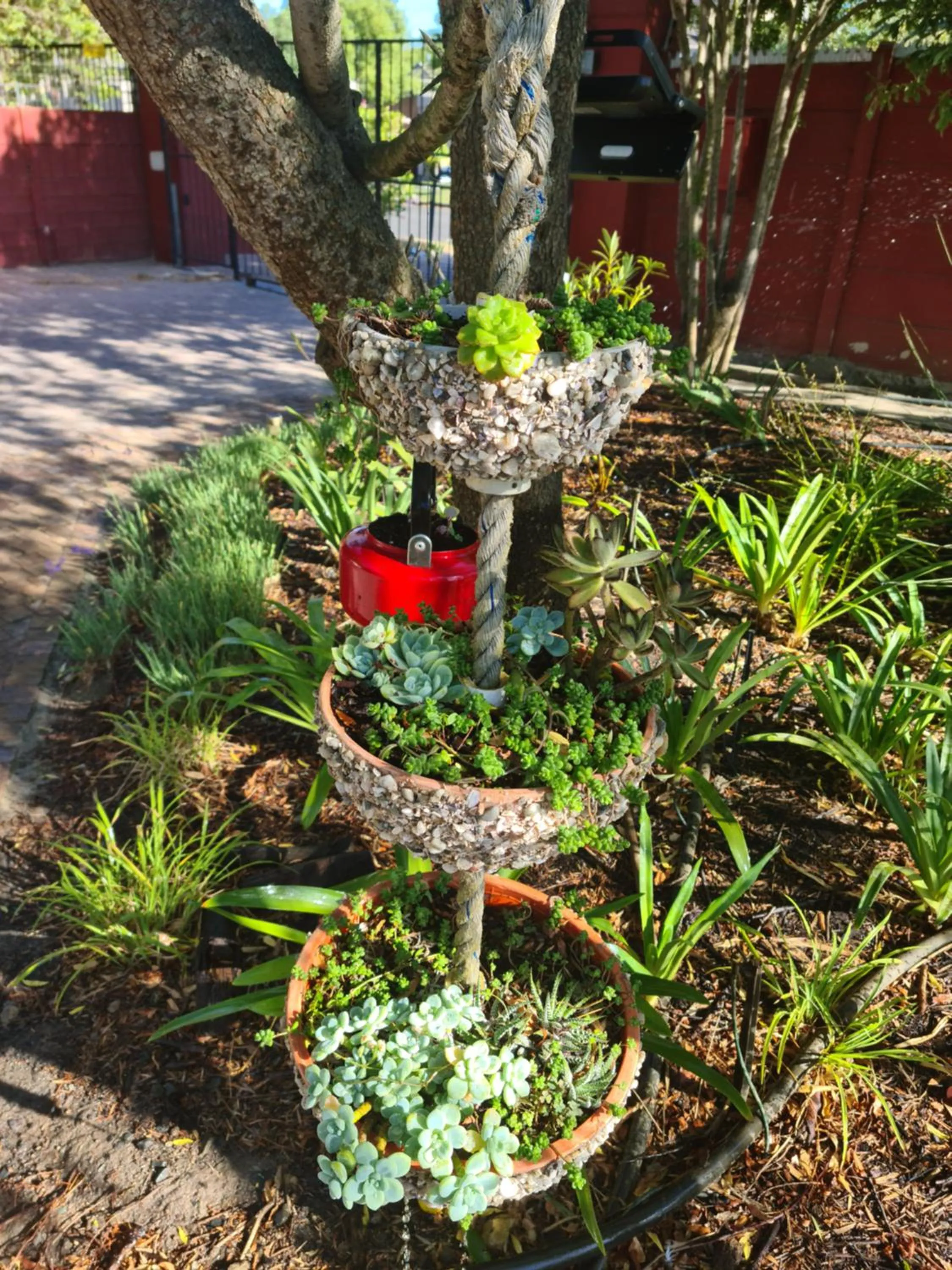 Garden in Dilisca Guesthouse