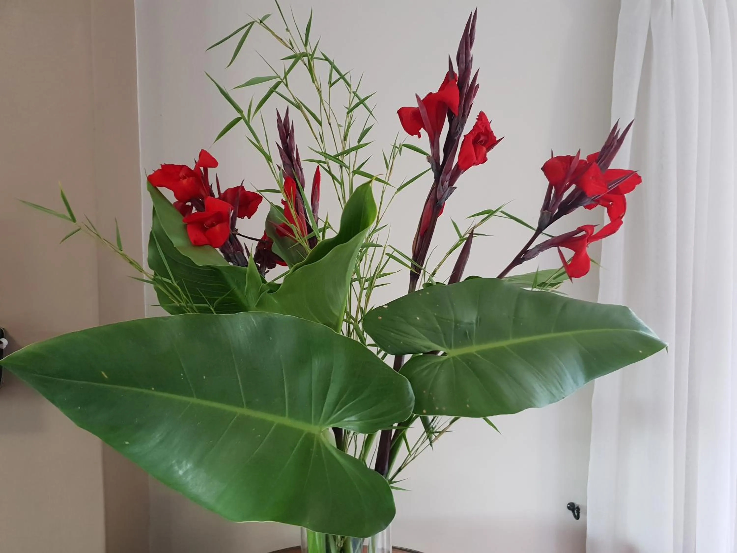 Restaurant/places to eat in Dilisca Guesthouse