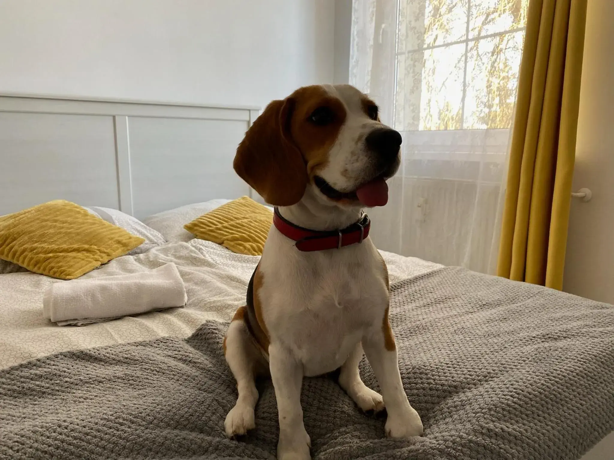 One-Bedroom Apartment in Hostel Przed Świtem One-Bedroom Apartment in Hostel Przed Świtem