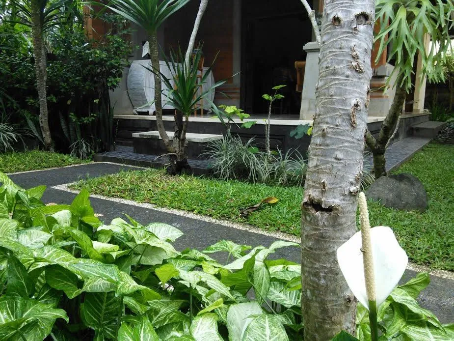 Soca Garden Guest house