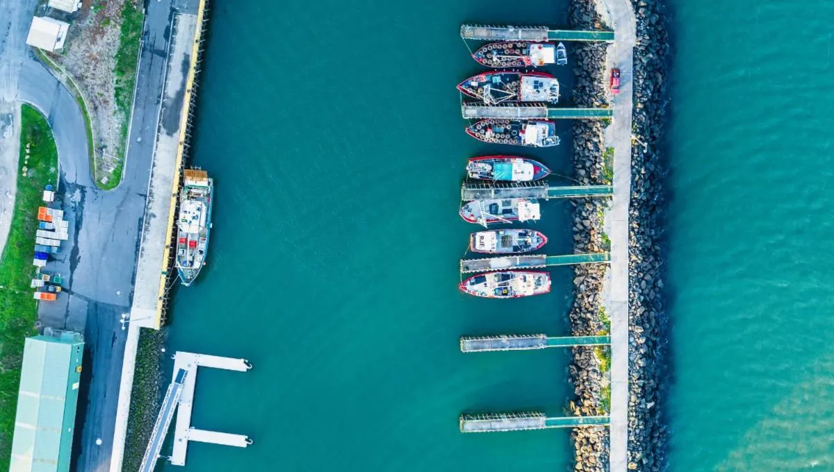 Natural landscape in BIG4 Tassie Getaway Park Stanley