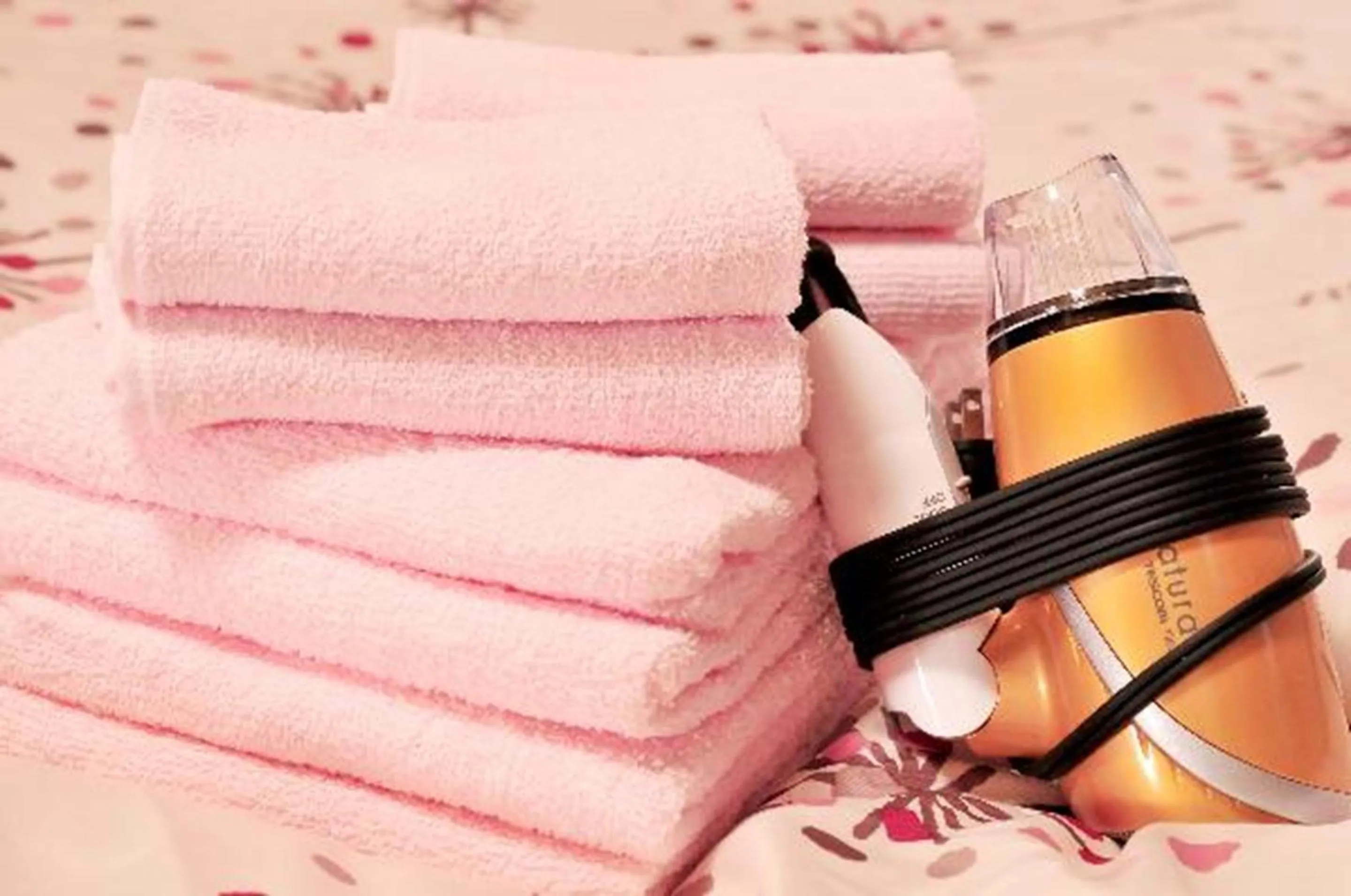 Decorative detail in Oyado Shogoin