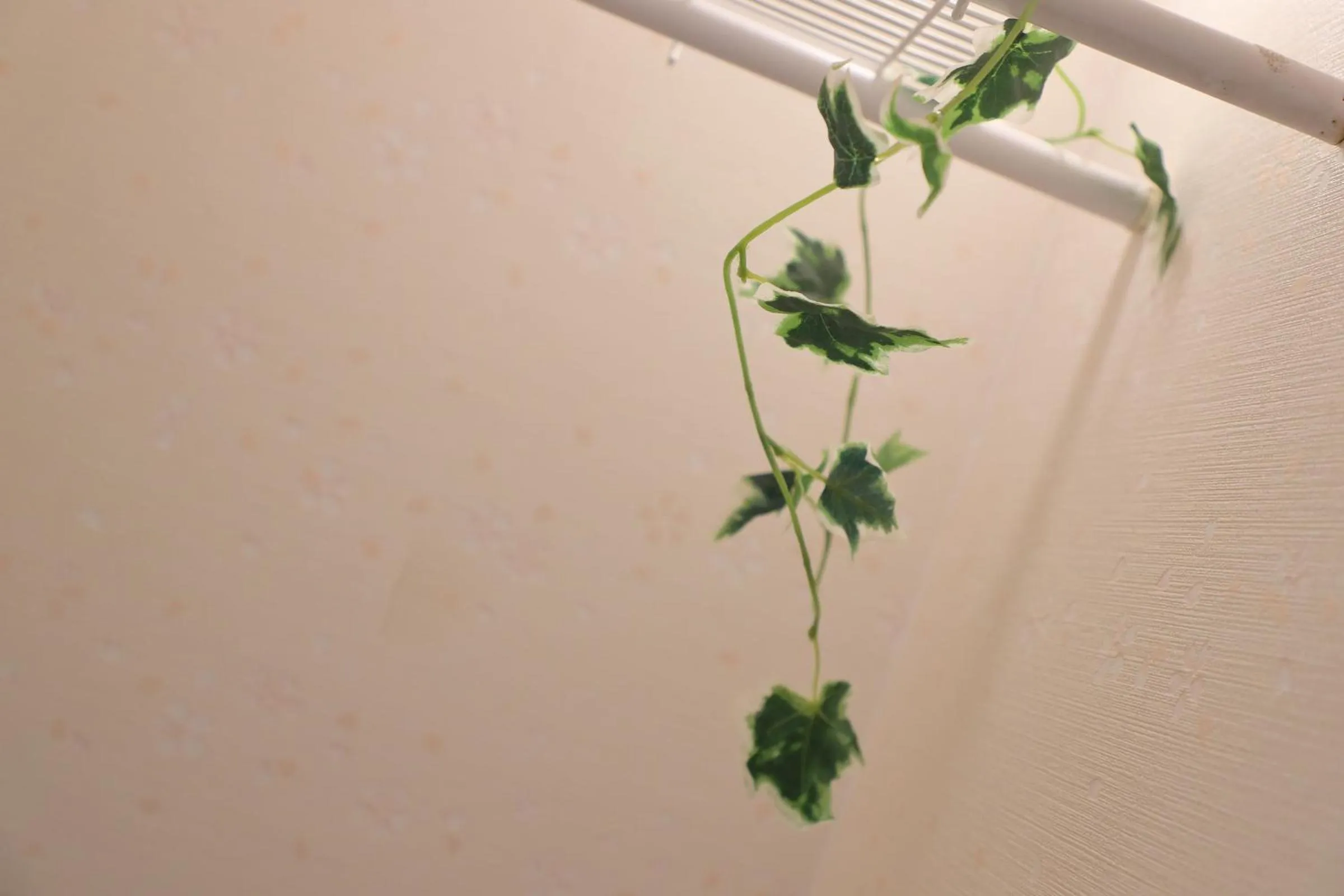 Toilet in Oyado Shogoin