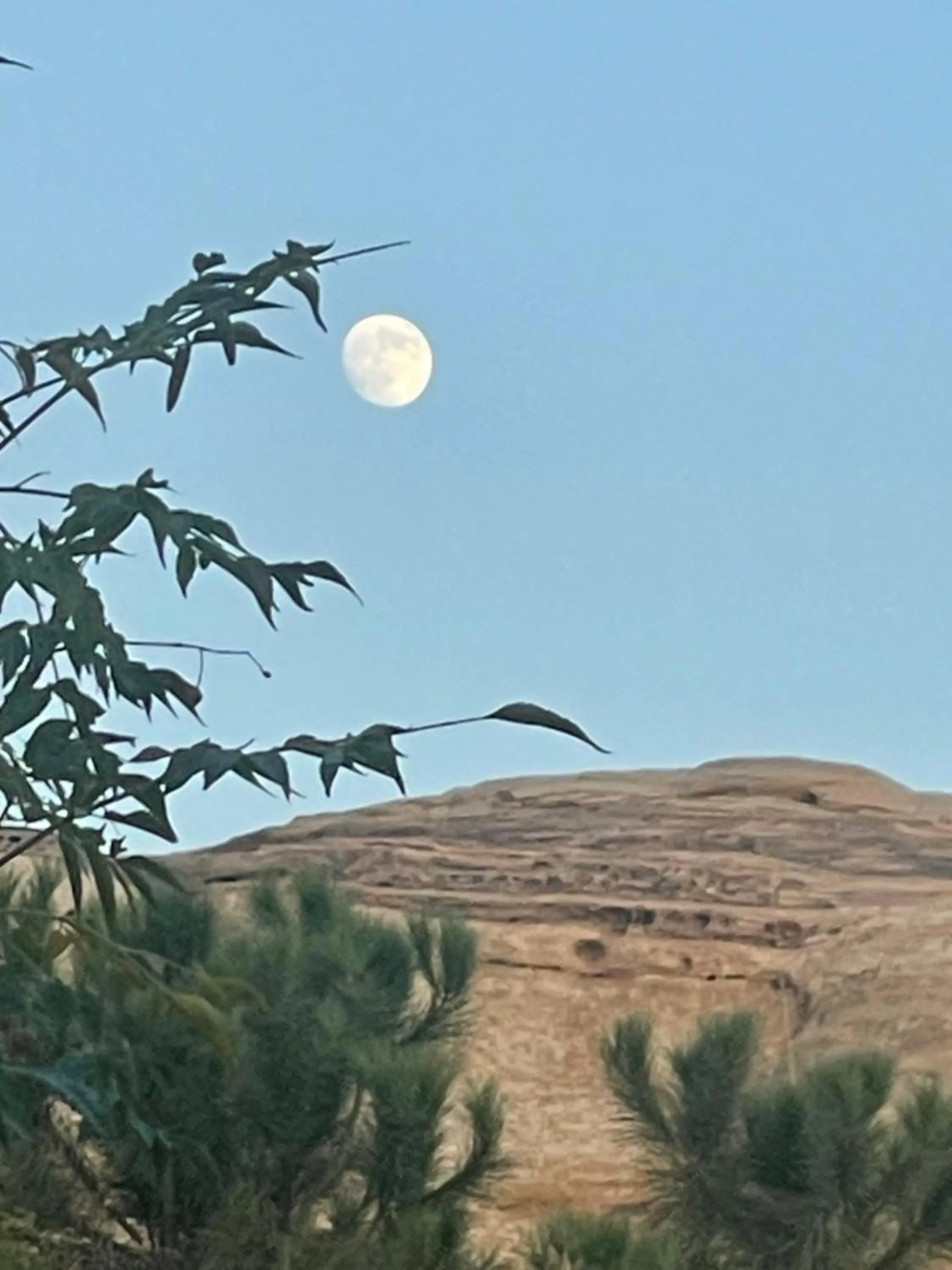 Natural landscape in Little Petra Bedouin Camp