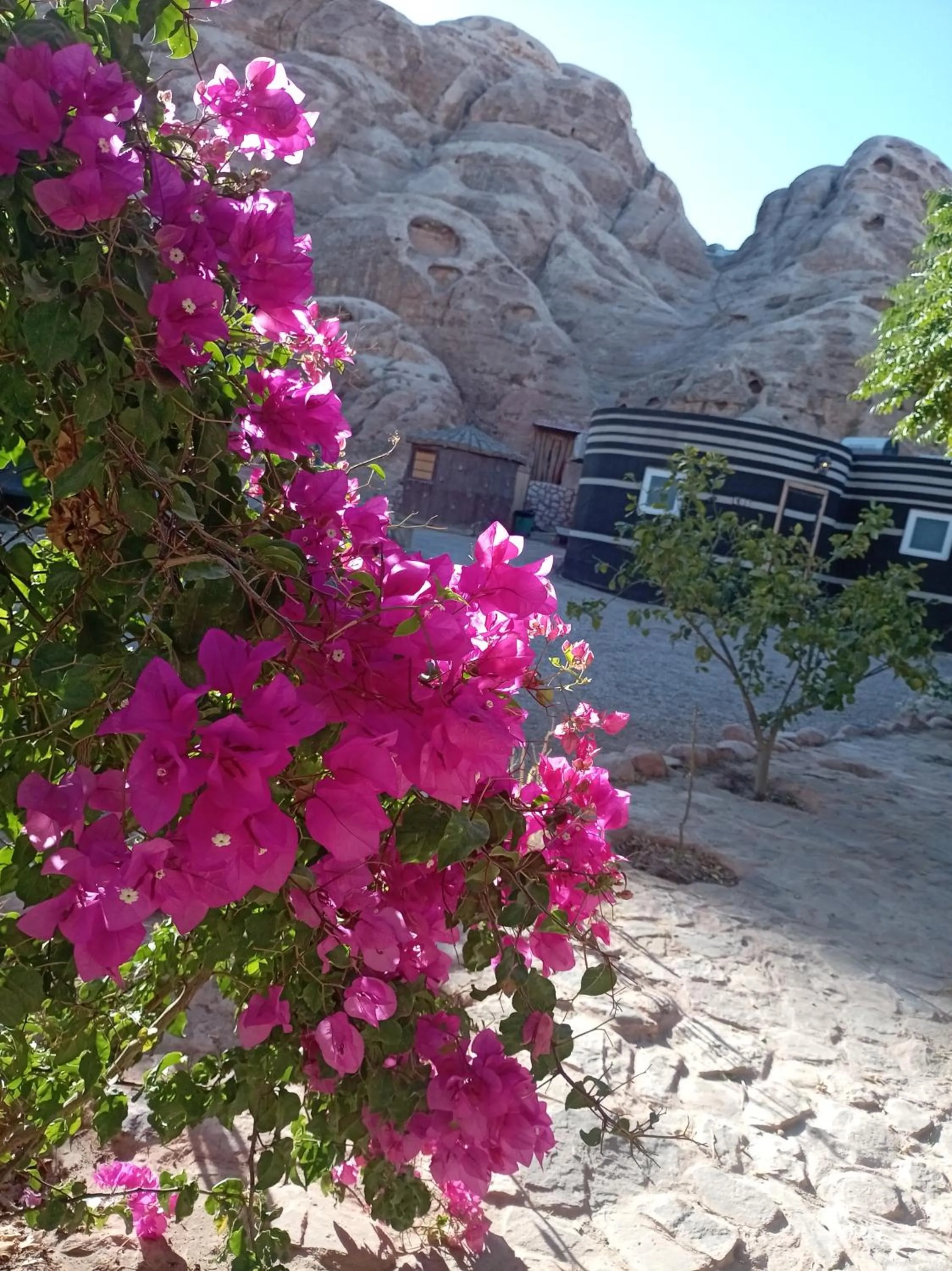 Day in Little Petra Bedouin Camp