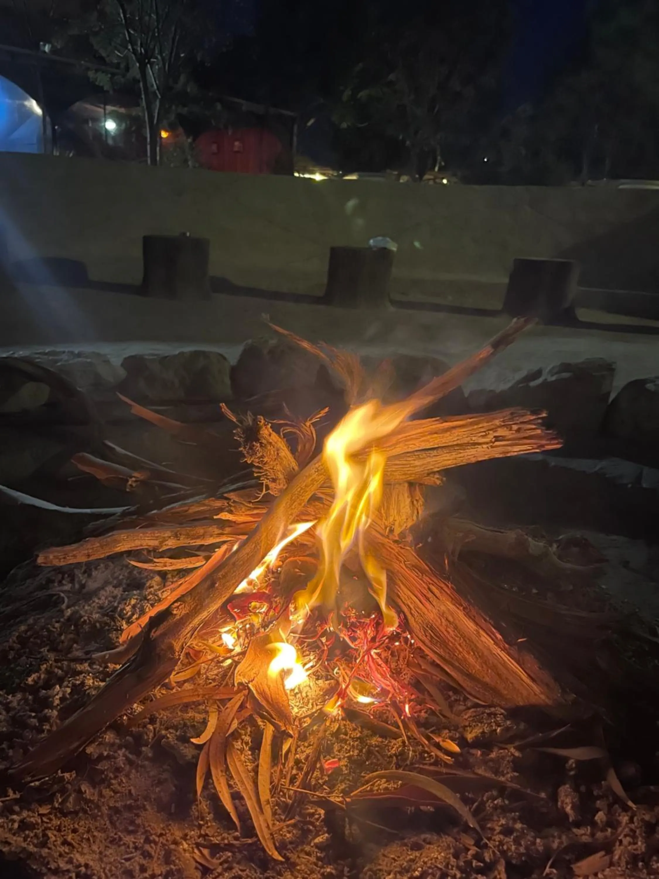 Night in Little Petra Bedouin Camp