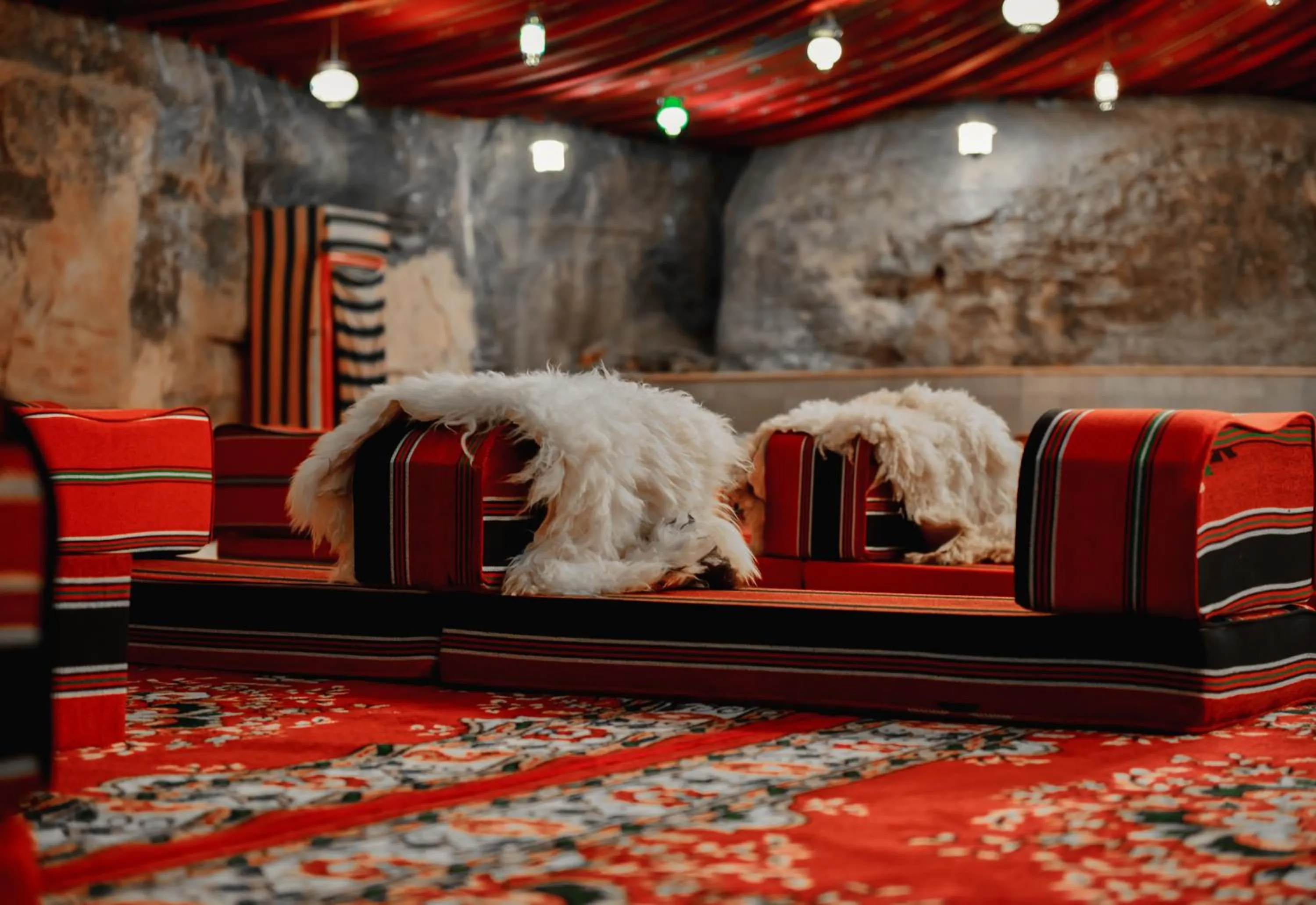 Seating area in Little Petra Bedouin Camp