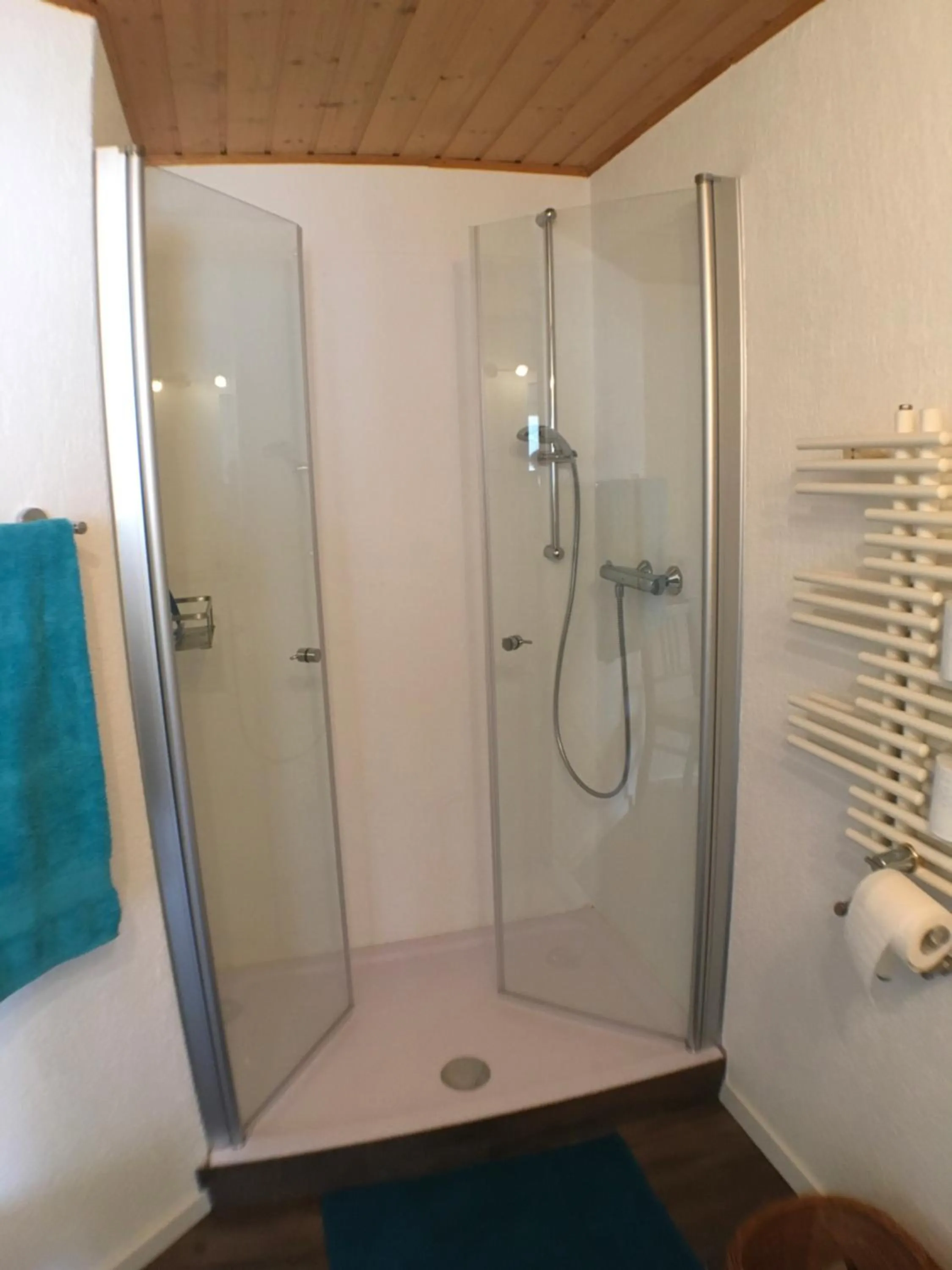 Bathroom in Ferienwohnung Alte B3
