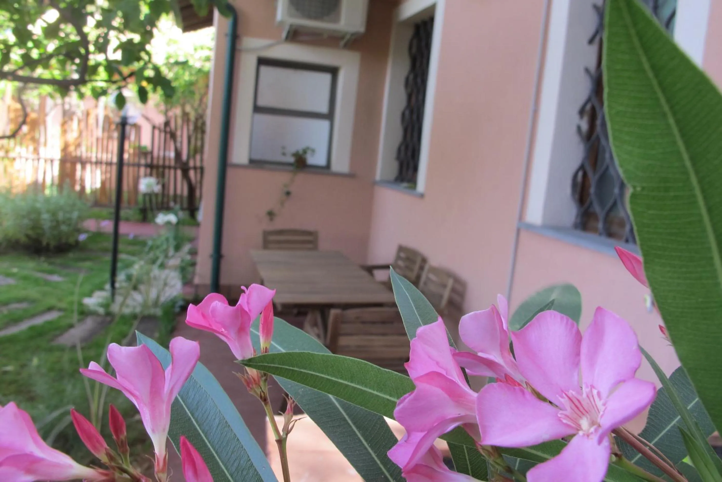 Casa Amaryllis