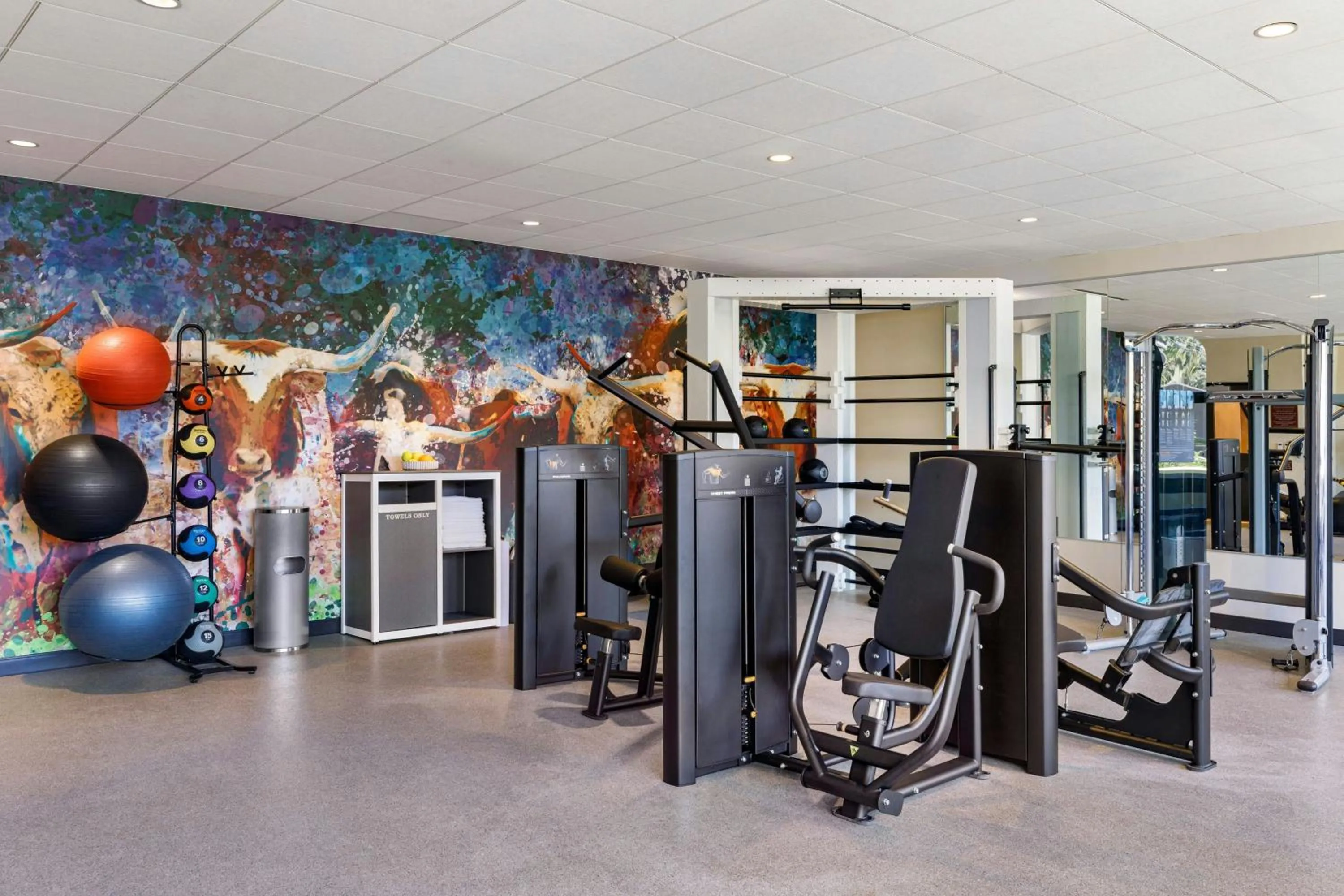 Fitness centre/facilities in The Elmore Hotel, DFW Southlake, a Tribute Portfolio Hotel