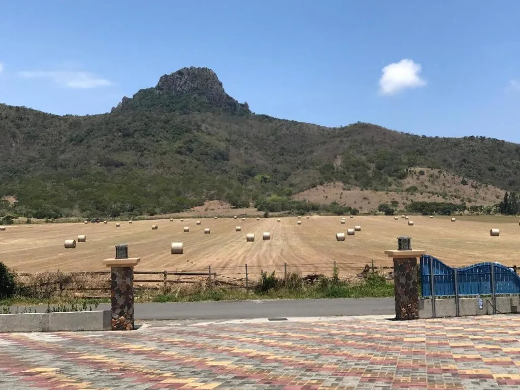 Mountain view in Island on the Sea