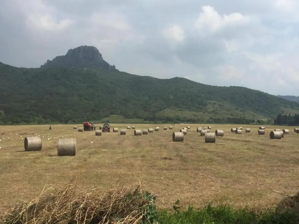 Natural landscape in Island on the Sea