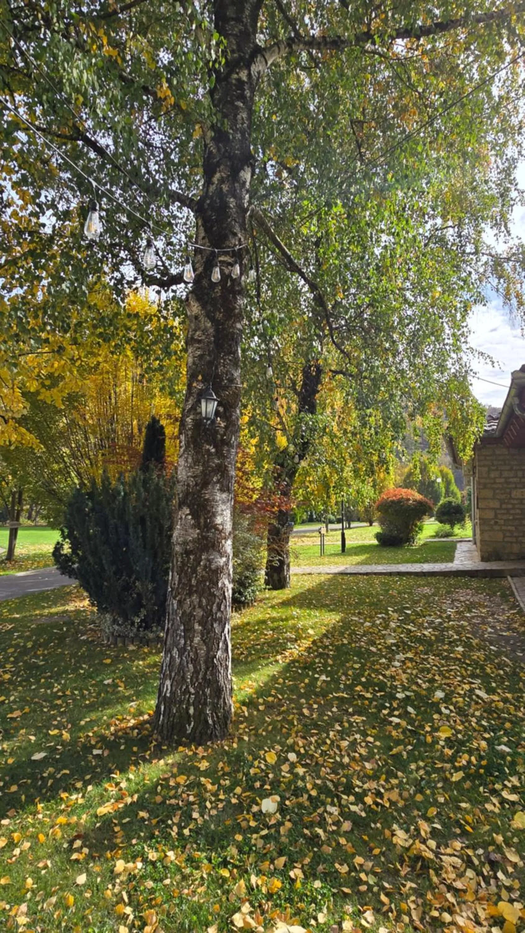 Hotel RAS Pazarište