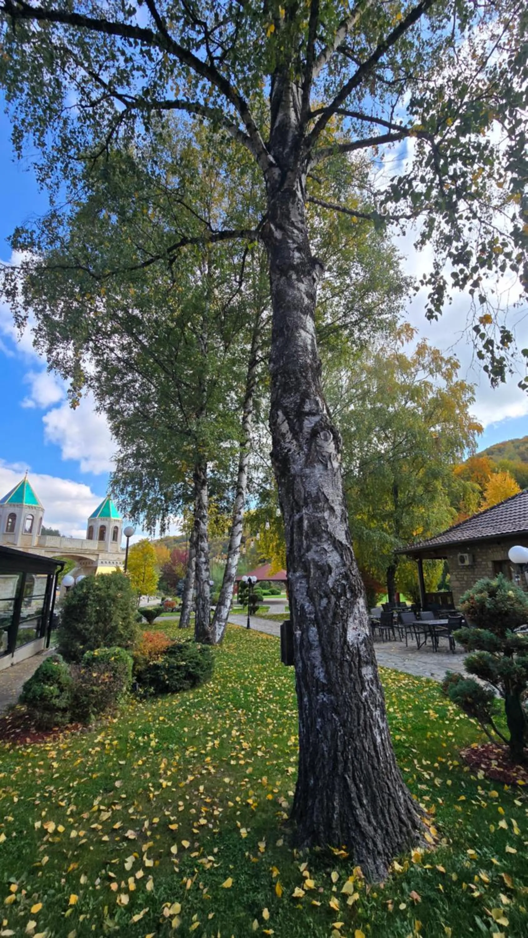 Hotel RAS Pazarište