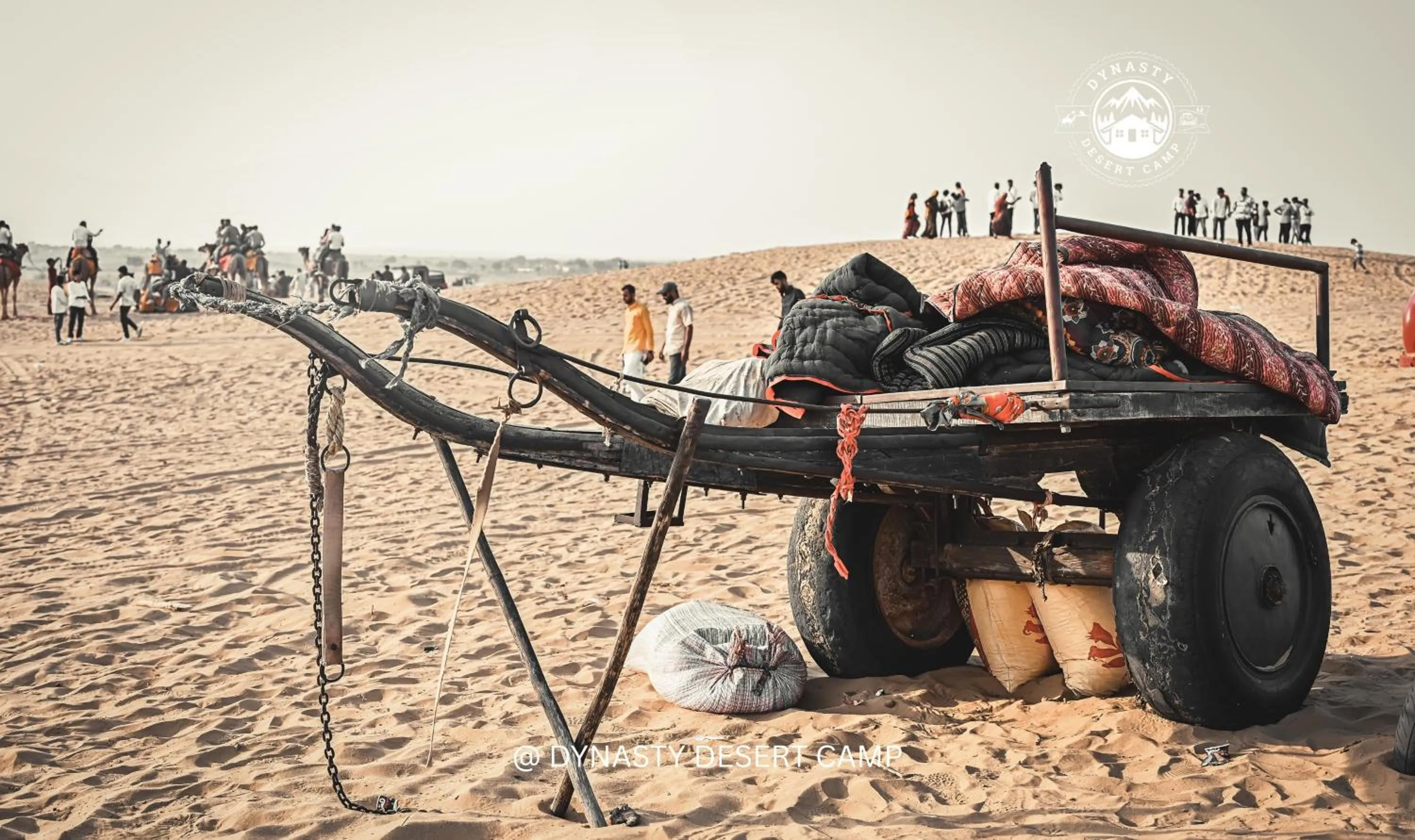 Dynasty Desert Camp and Resort