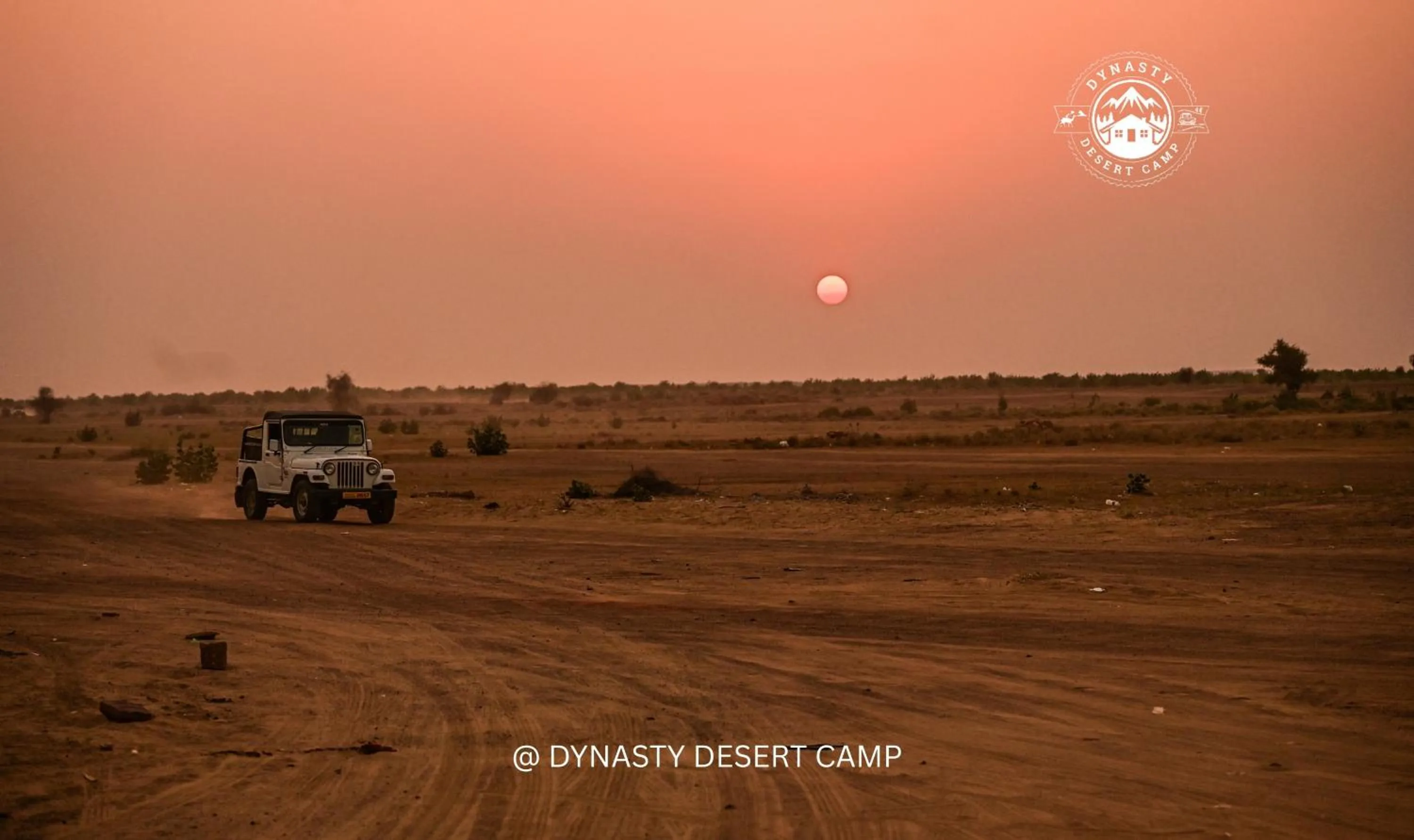 Dynasty Desert Camp and Resort