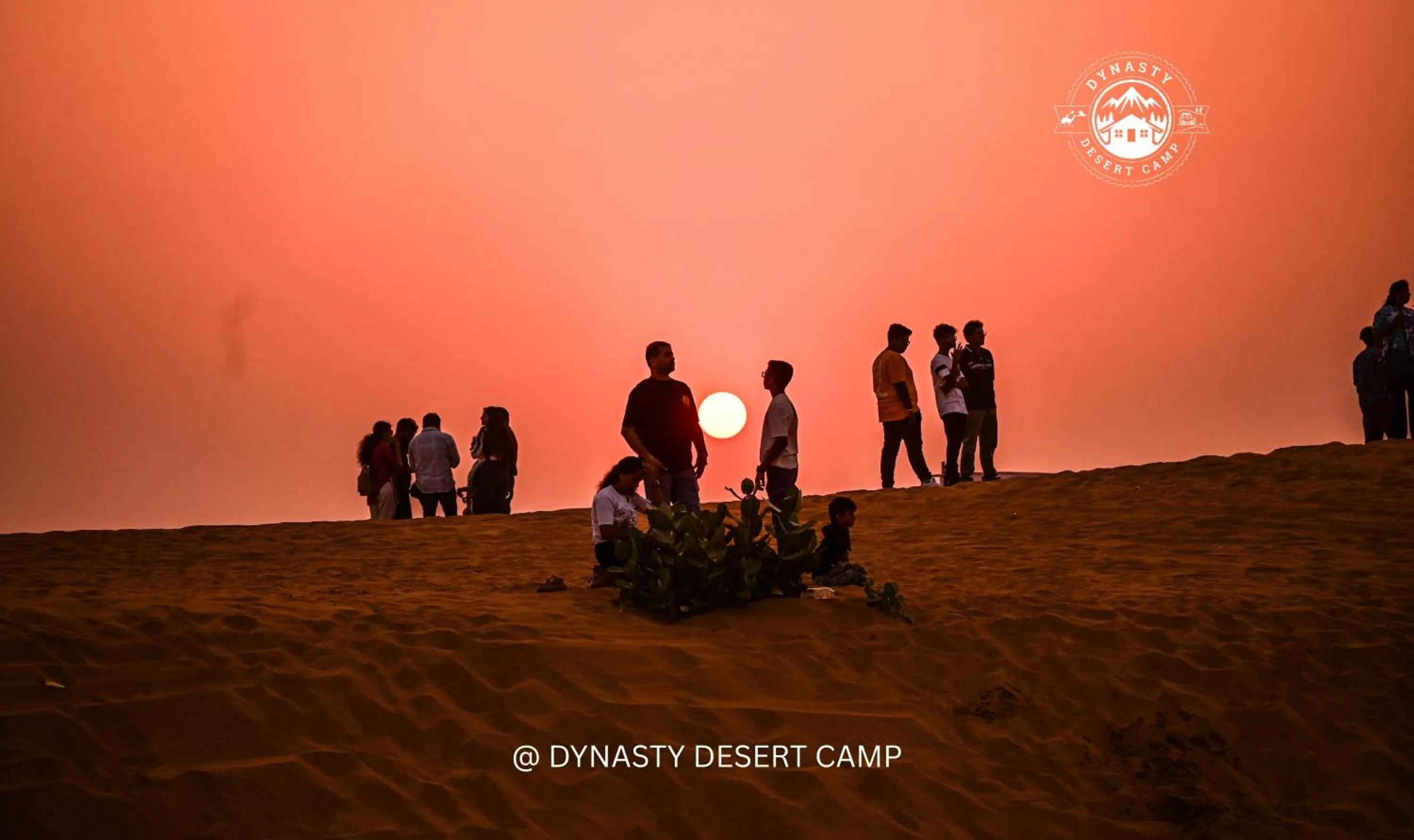 Dynasty Desert Camp and Resort