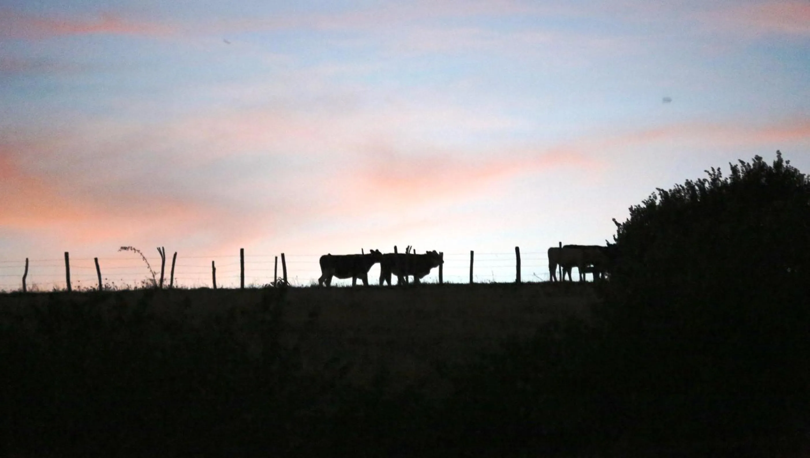 Natural landscape in Maison Cube