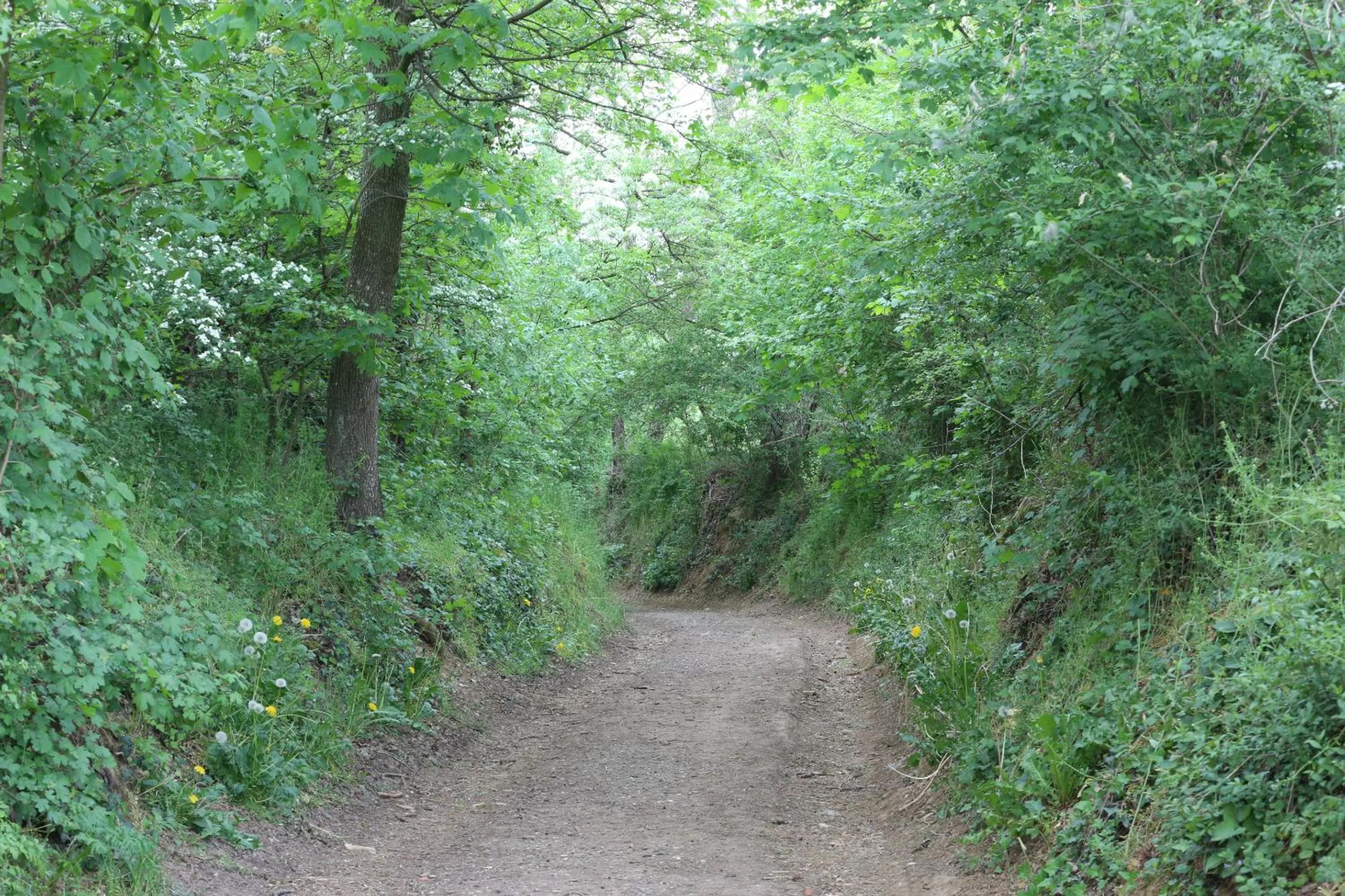Hiking in Maison Cube