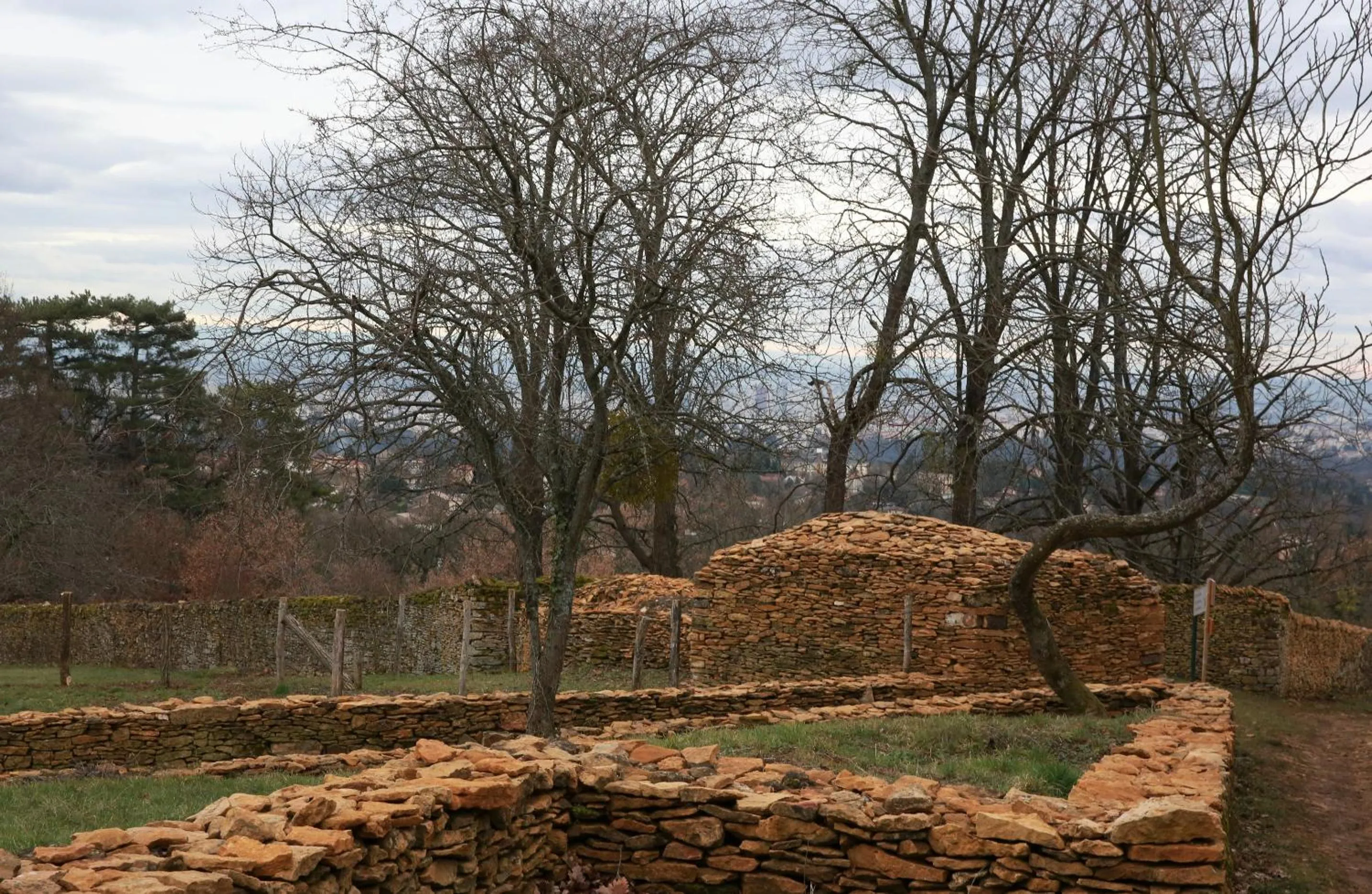 Natural landscape in Maison Cube