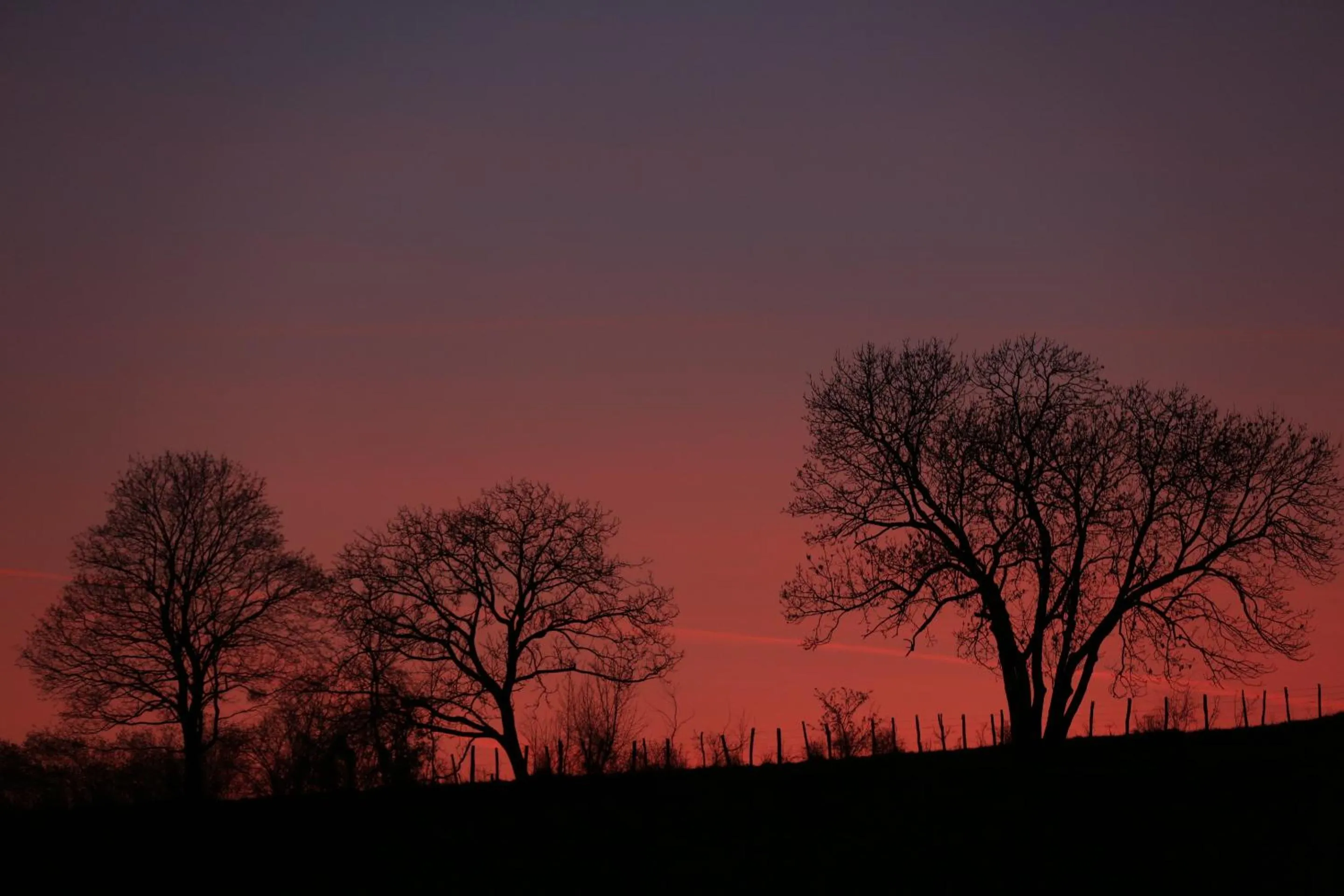Landmark view in Maison Cube