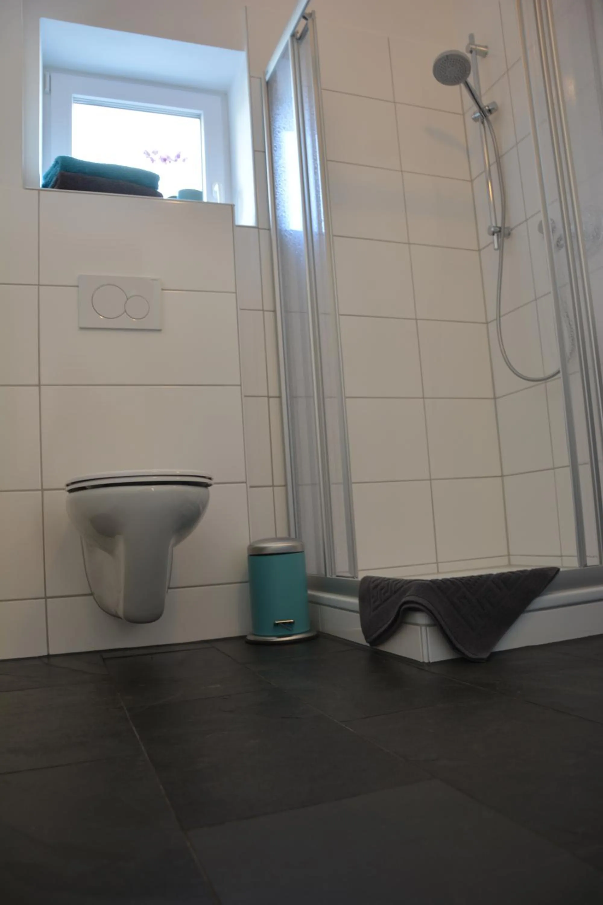 Single Room with Shower in Zur Lahnbrücke