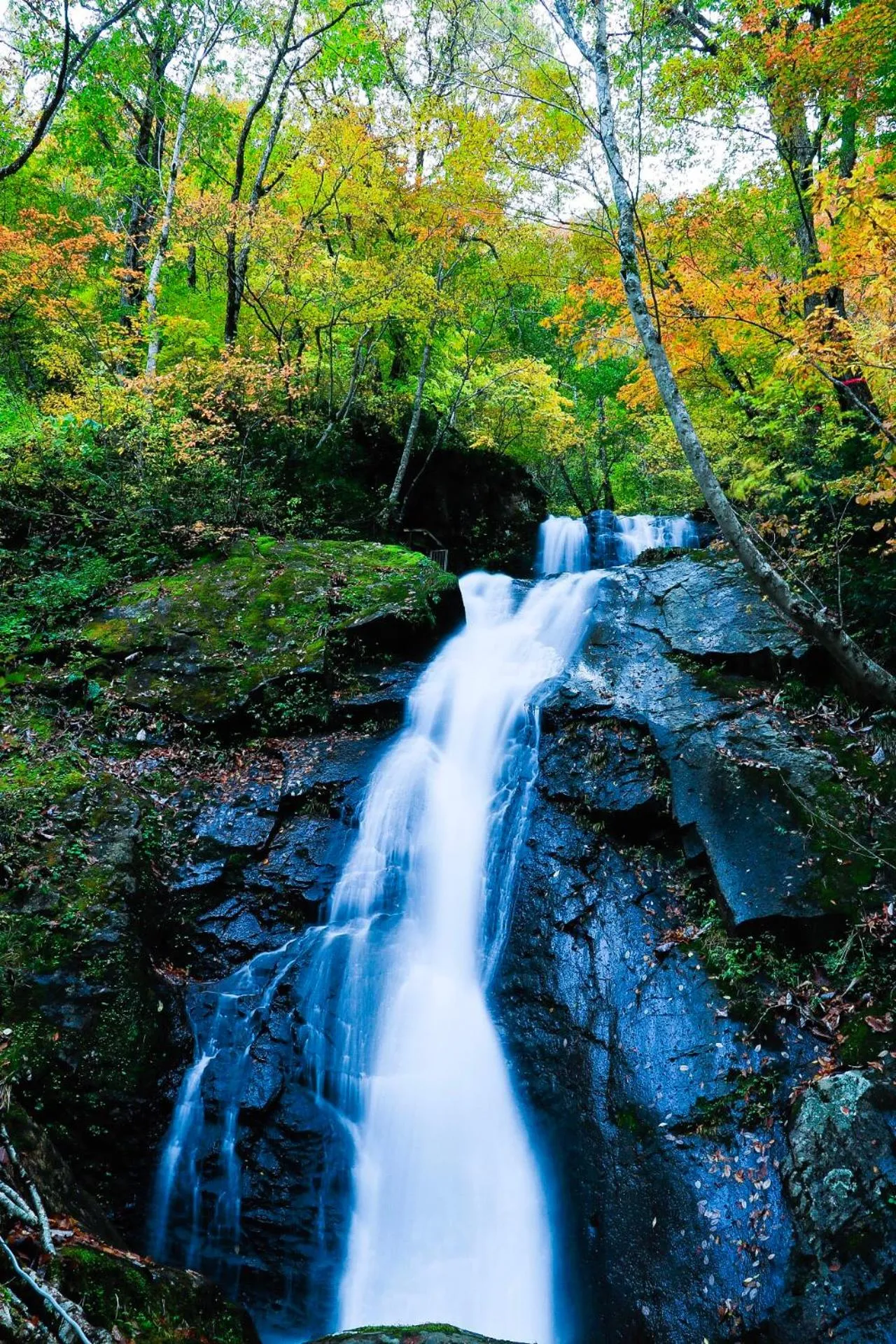 Pension Good Luck Takayama
