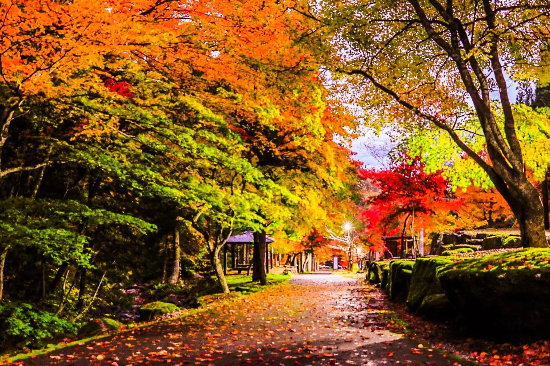 Pension Good Luck Takayama