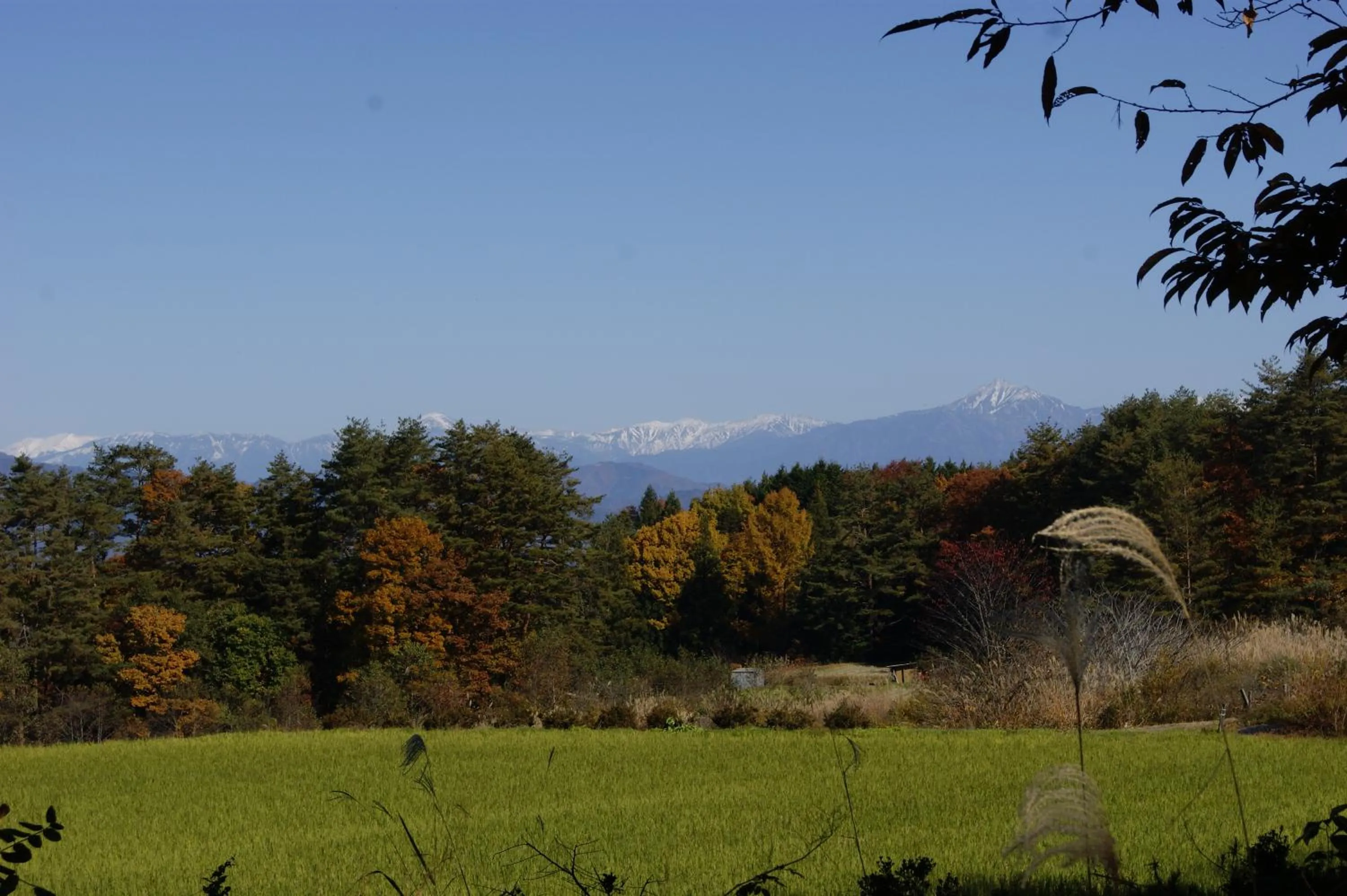 Pension Good Luck Takayama