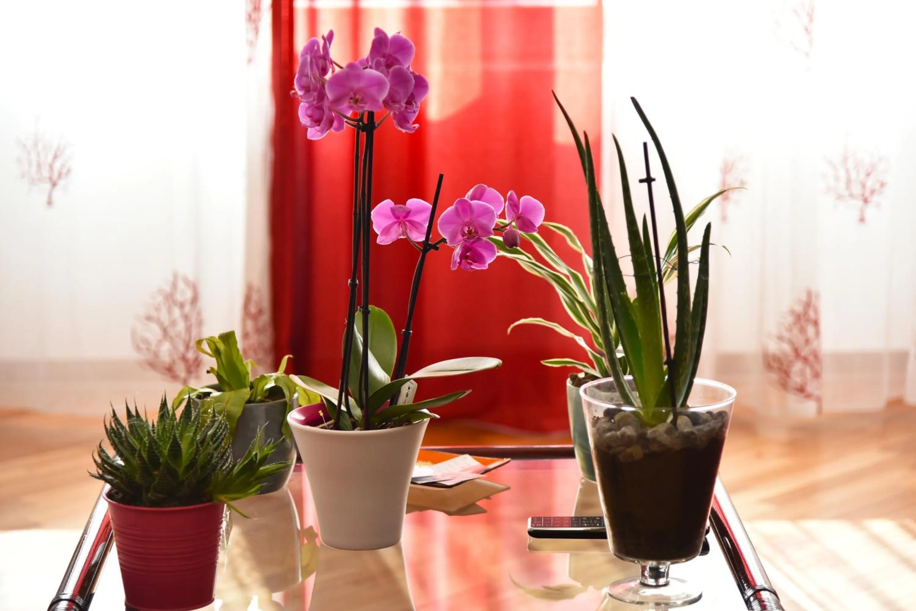 Lobby or reception in B&B Amalfi Coast Salerno