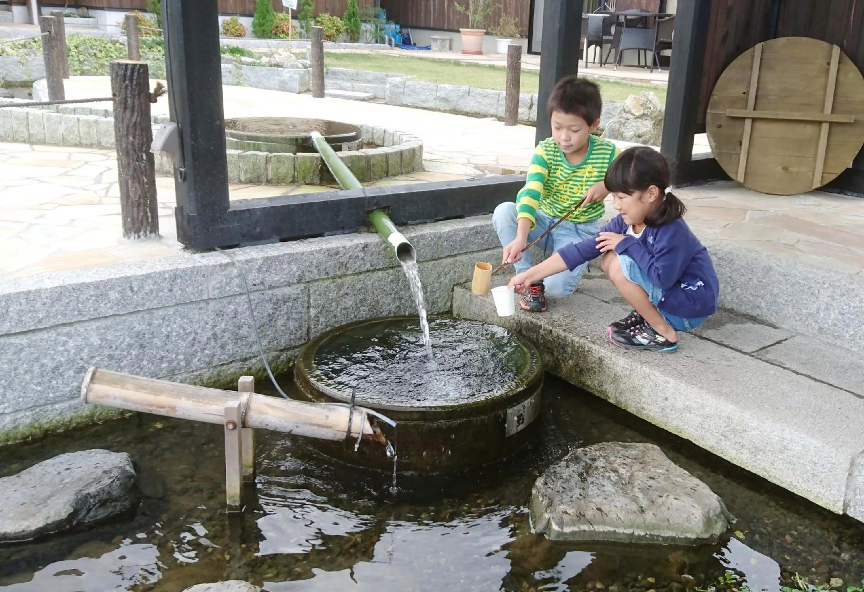 Garden in Racine Home Harie