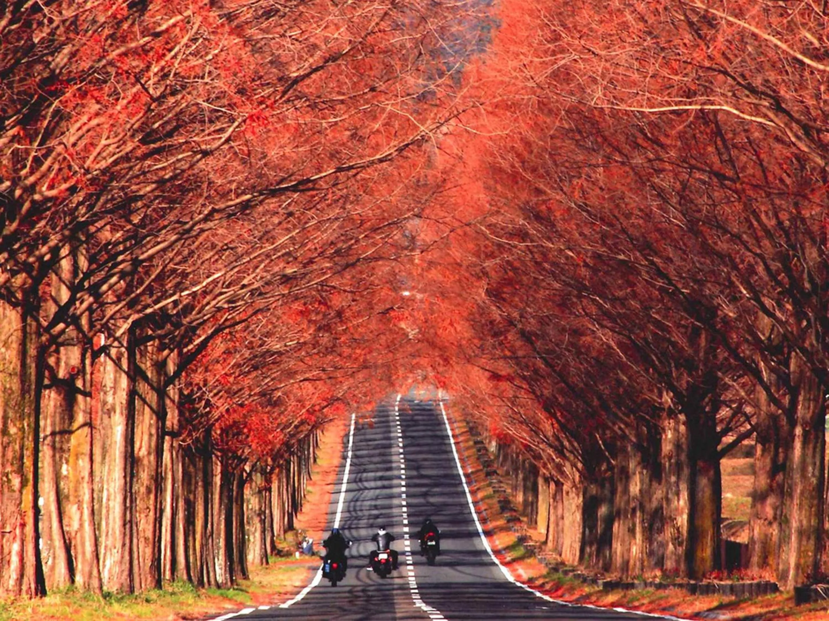 Nearby landmark in Racine Home Harie