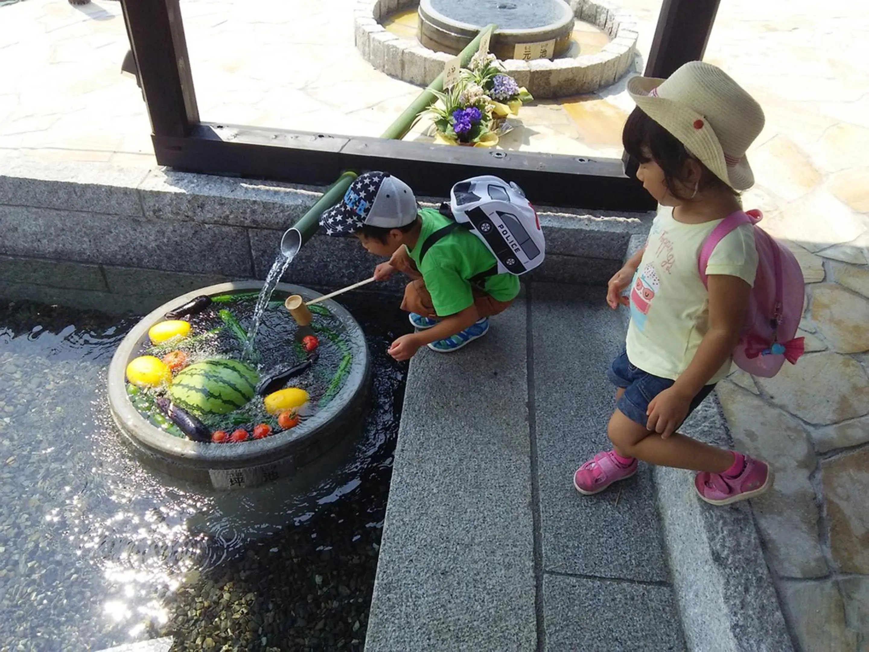 Garden in Racine Home Harie