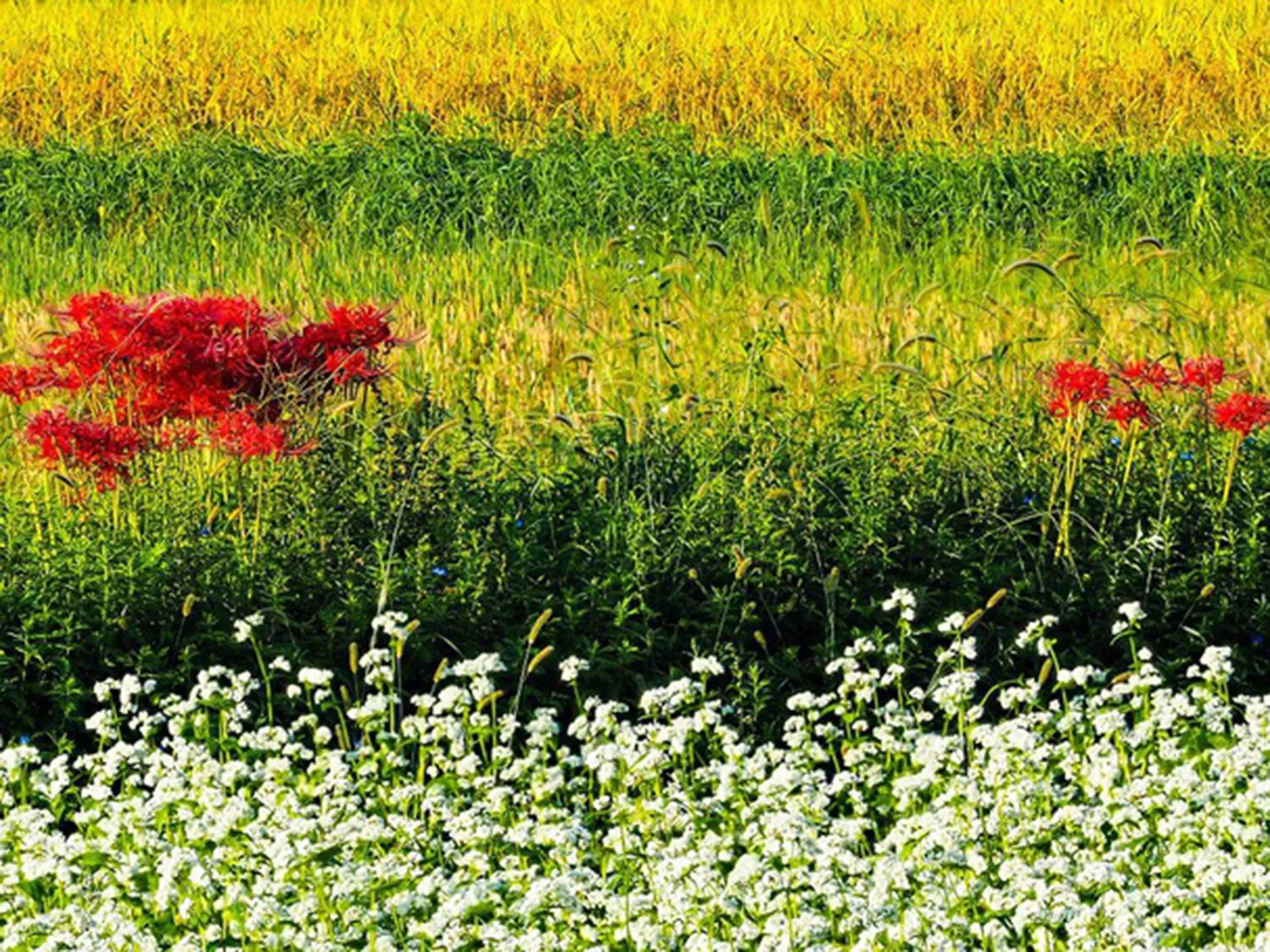 Nearby landmark in Racine Home Harie