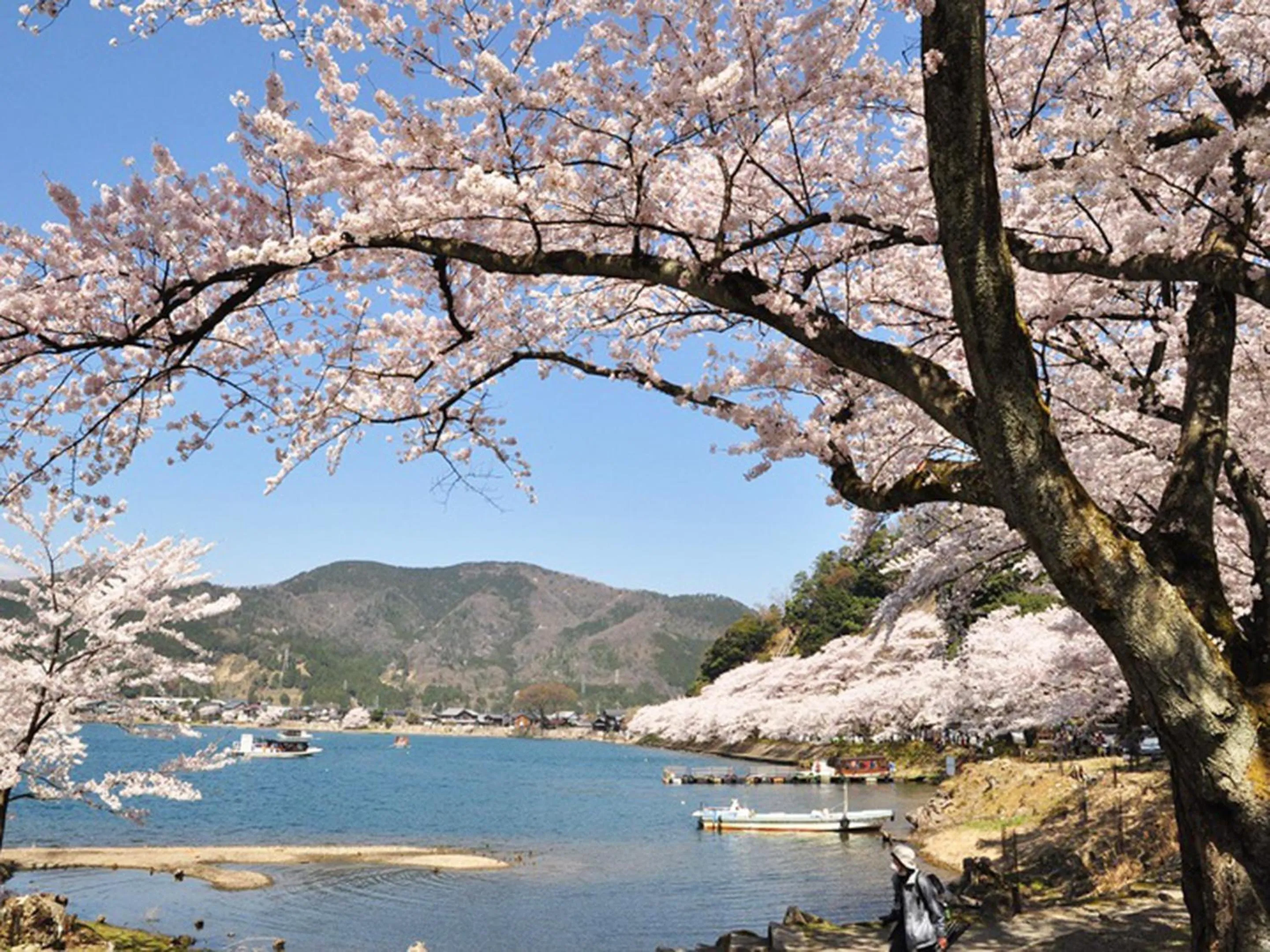 Nearby landmark in Racine Home Harie
