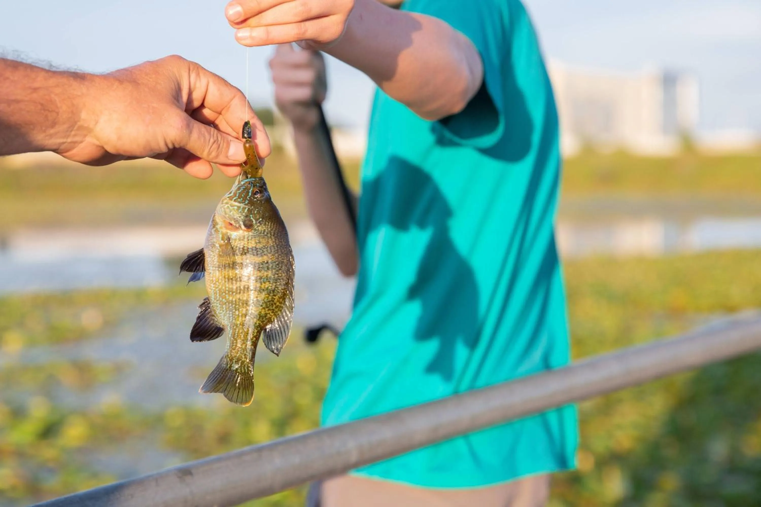 Other in SpringHill Suites by Marriott Austin Cedar Park