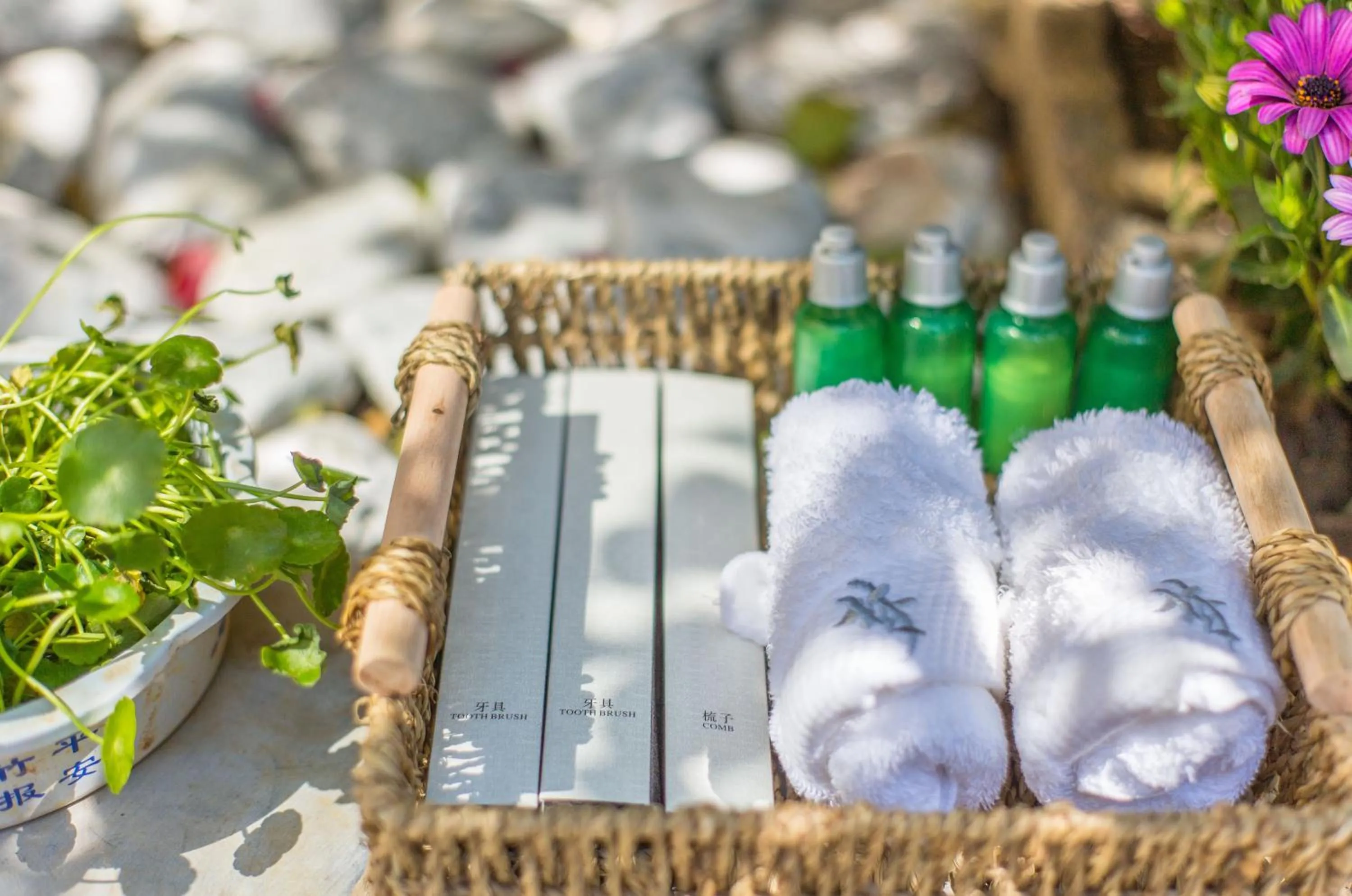 M Y J Boutique Inn 梦圆居