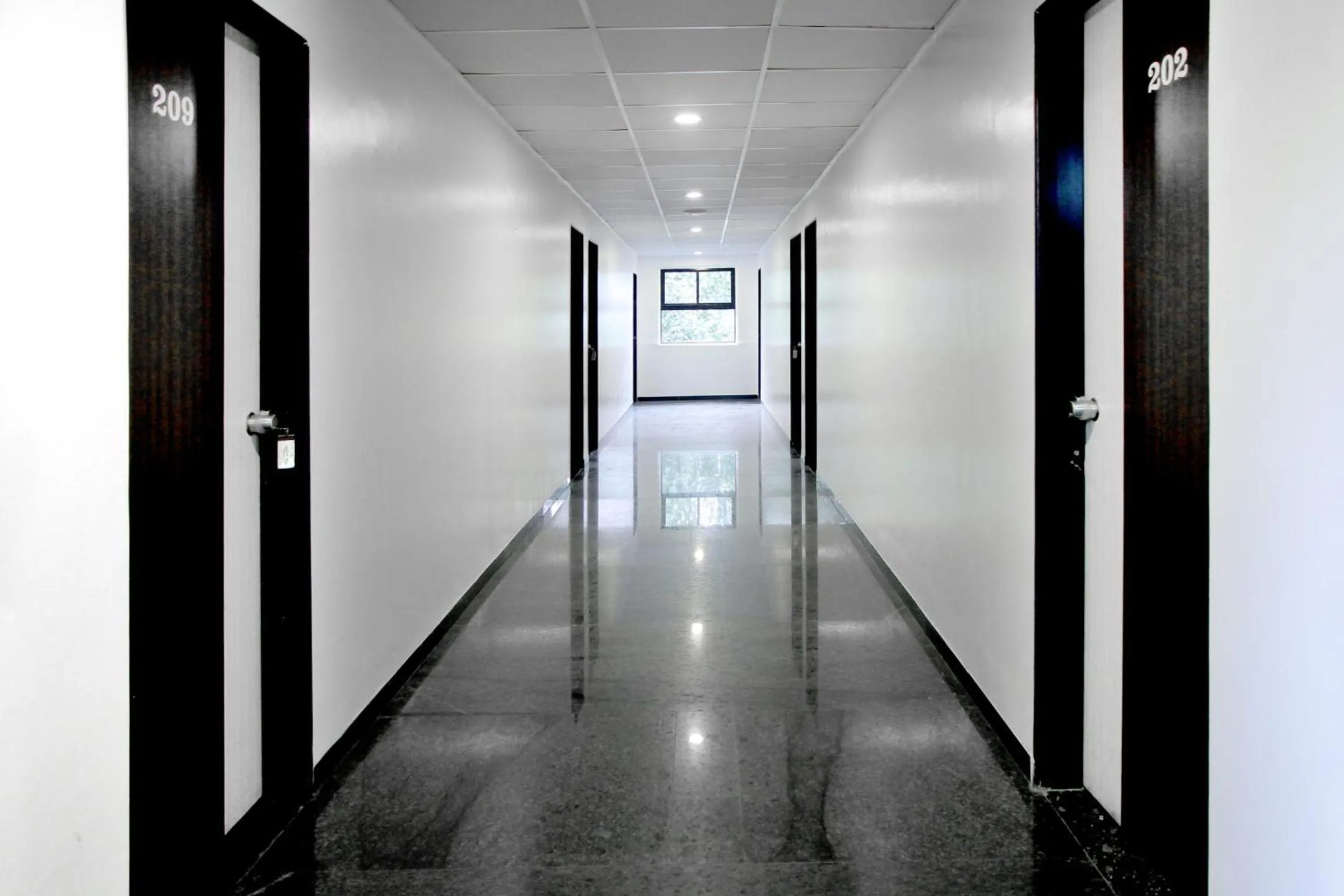 Area and facilities in Hotel Raj