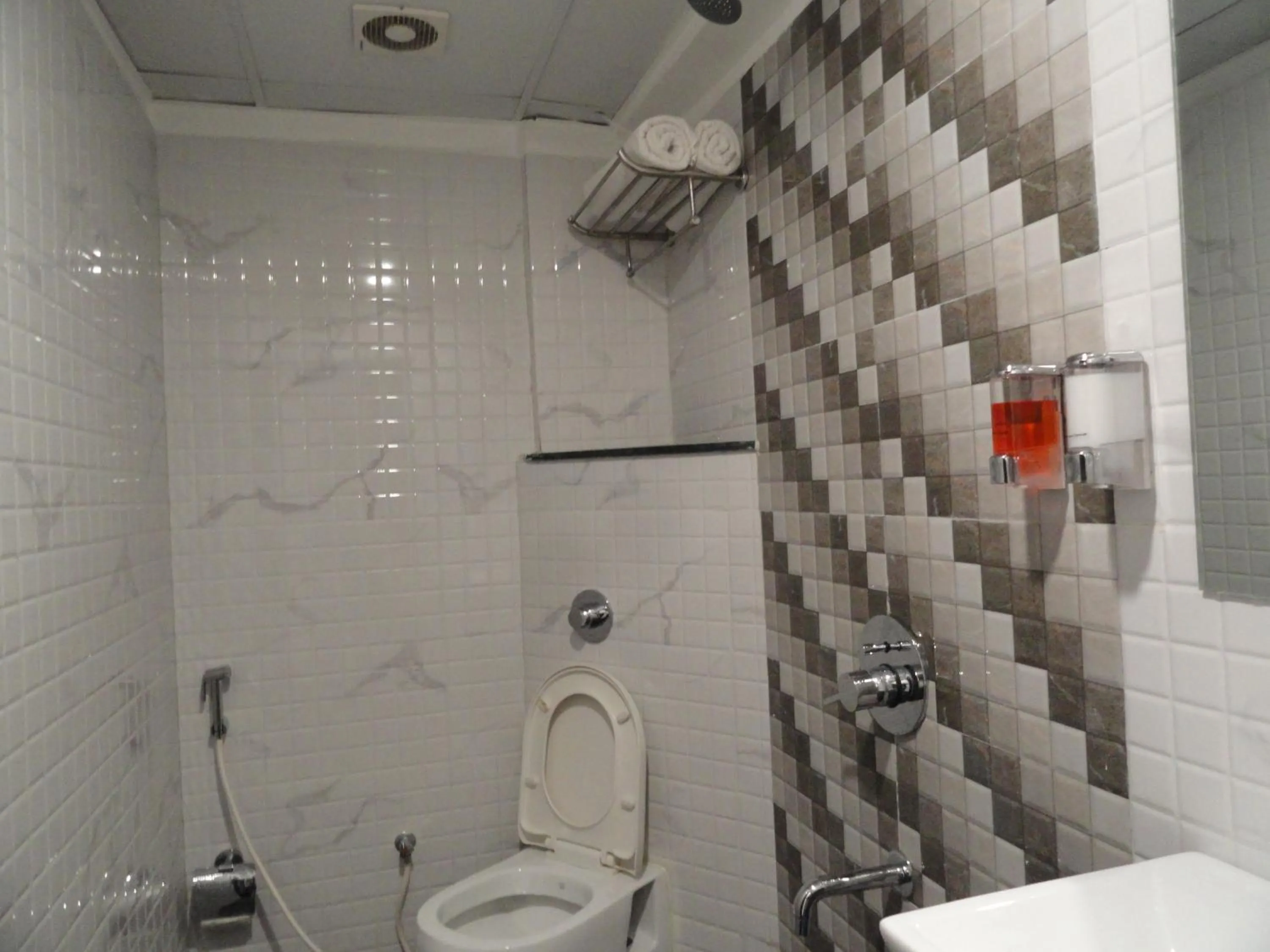 Bathroom in Hotel Raj