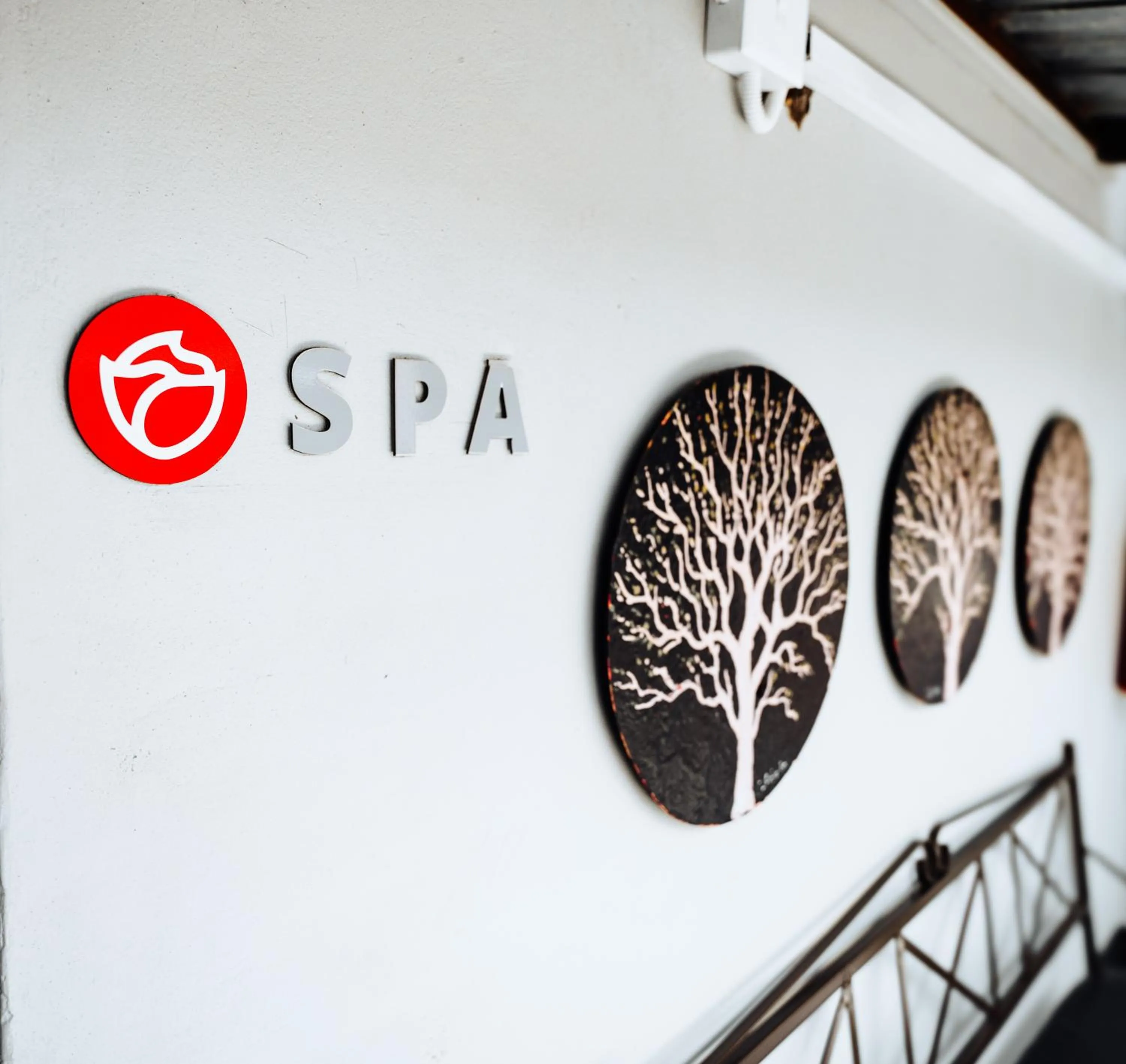 Ehrlichpark Lodge self catering and spa